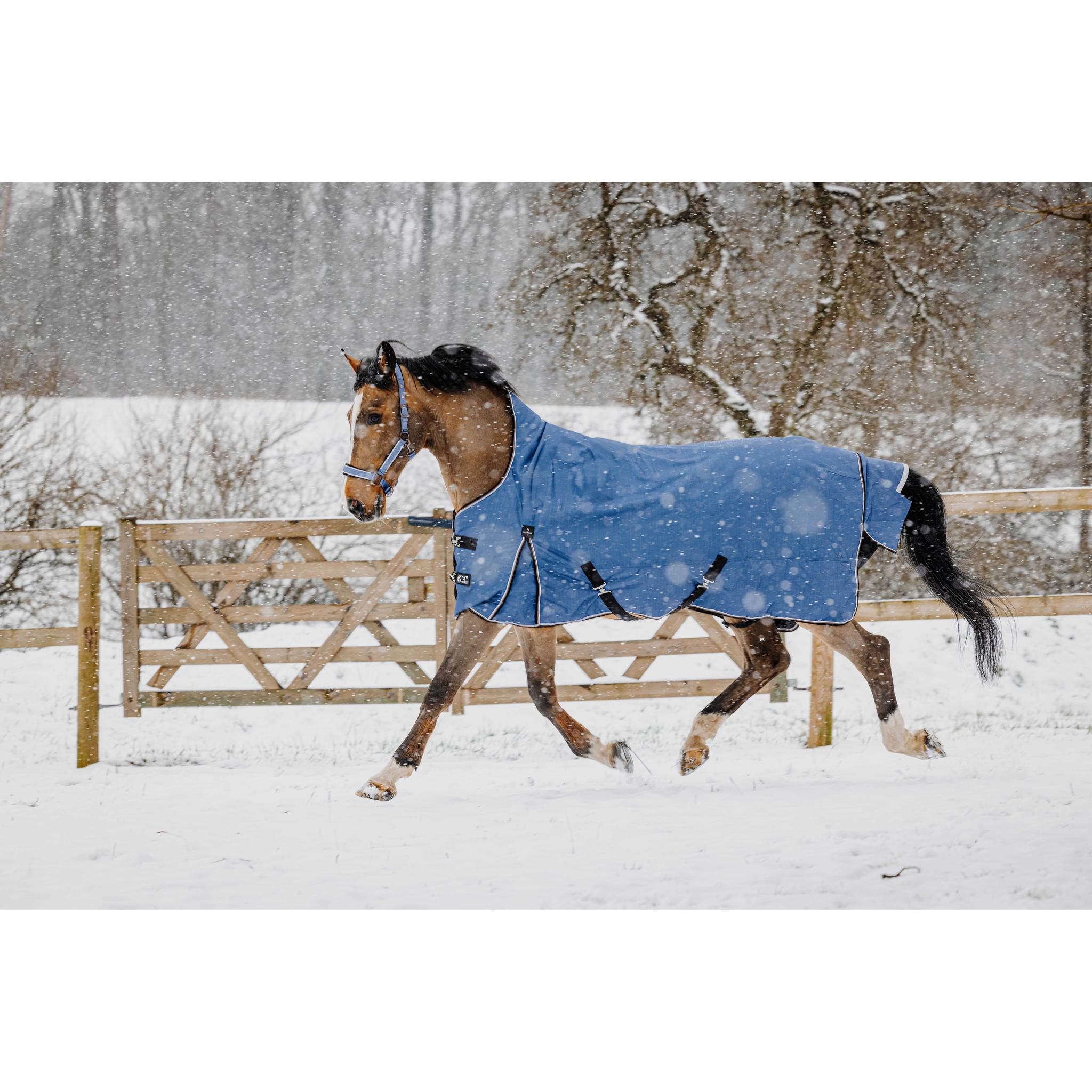 EQUITHÈME COBALT High Neck TYREX 1200D Turnout Sheet Cobalt Blue - 400599469_ambi_9