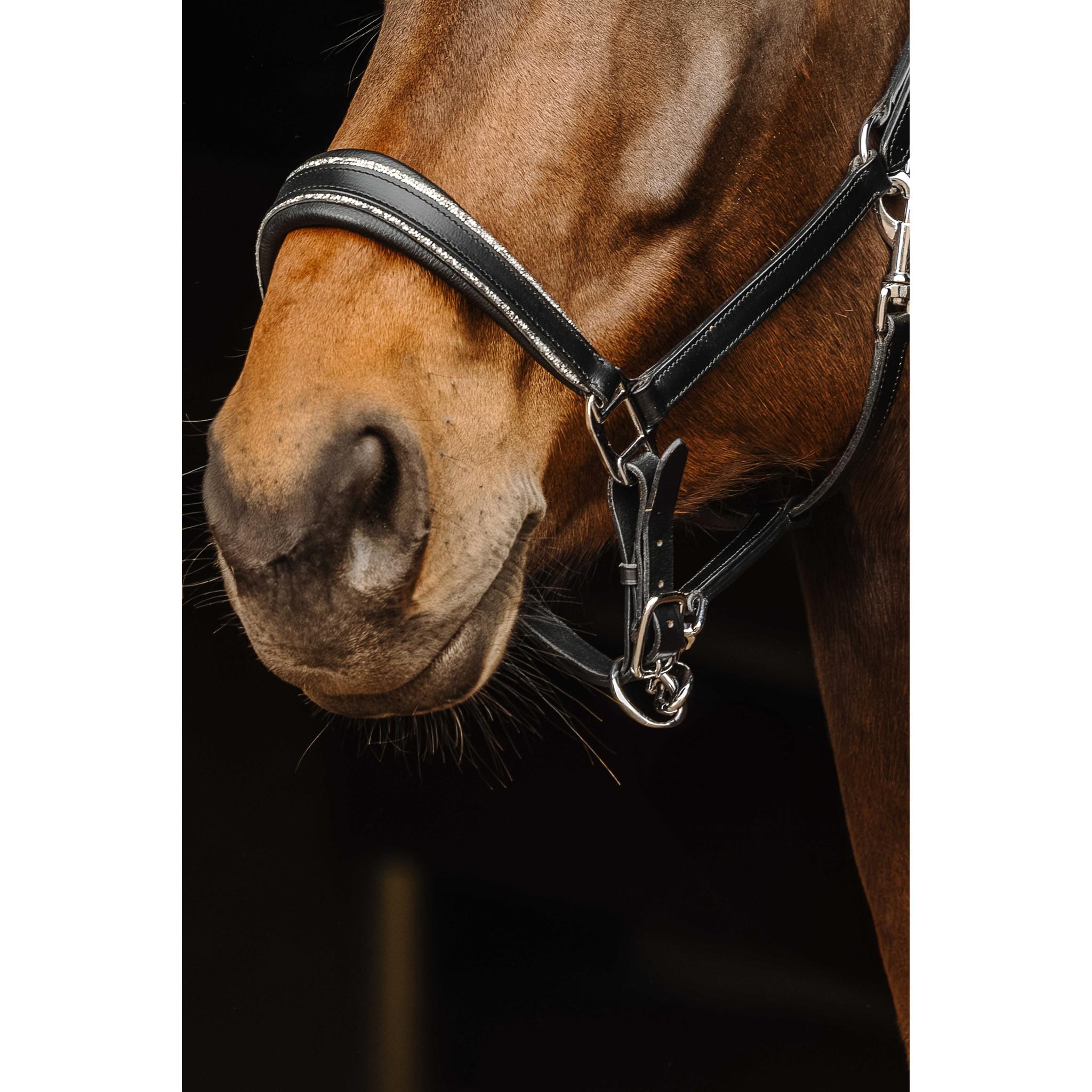 Norton Rock Halter Black 510308302
