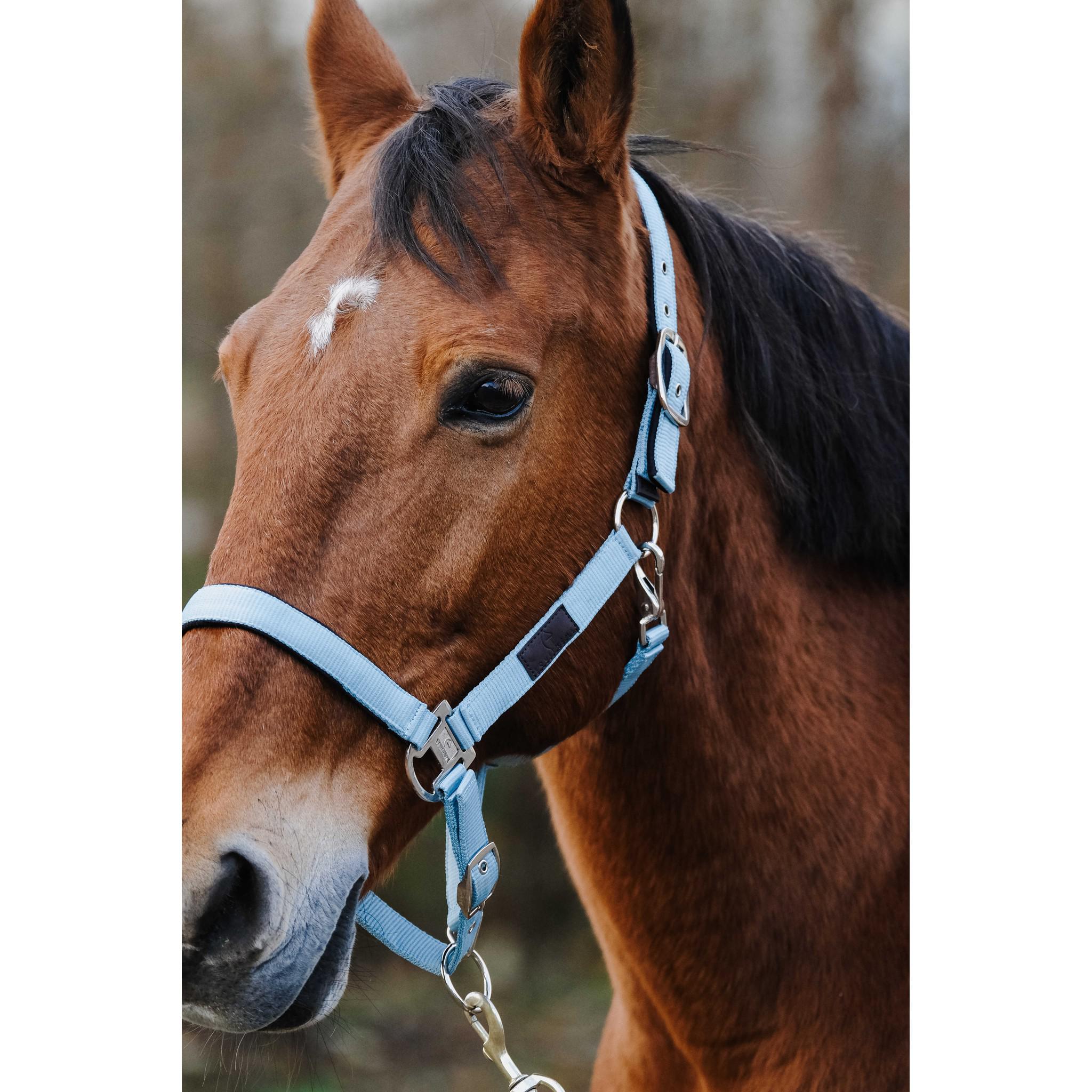 EQUITHÈME Spring Halter Turquoise 510257017