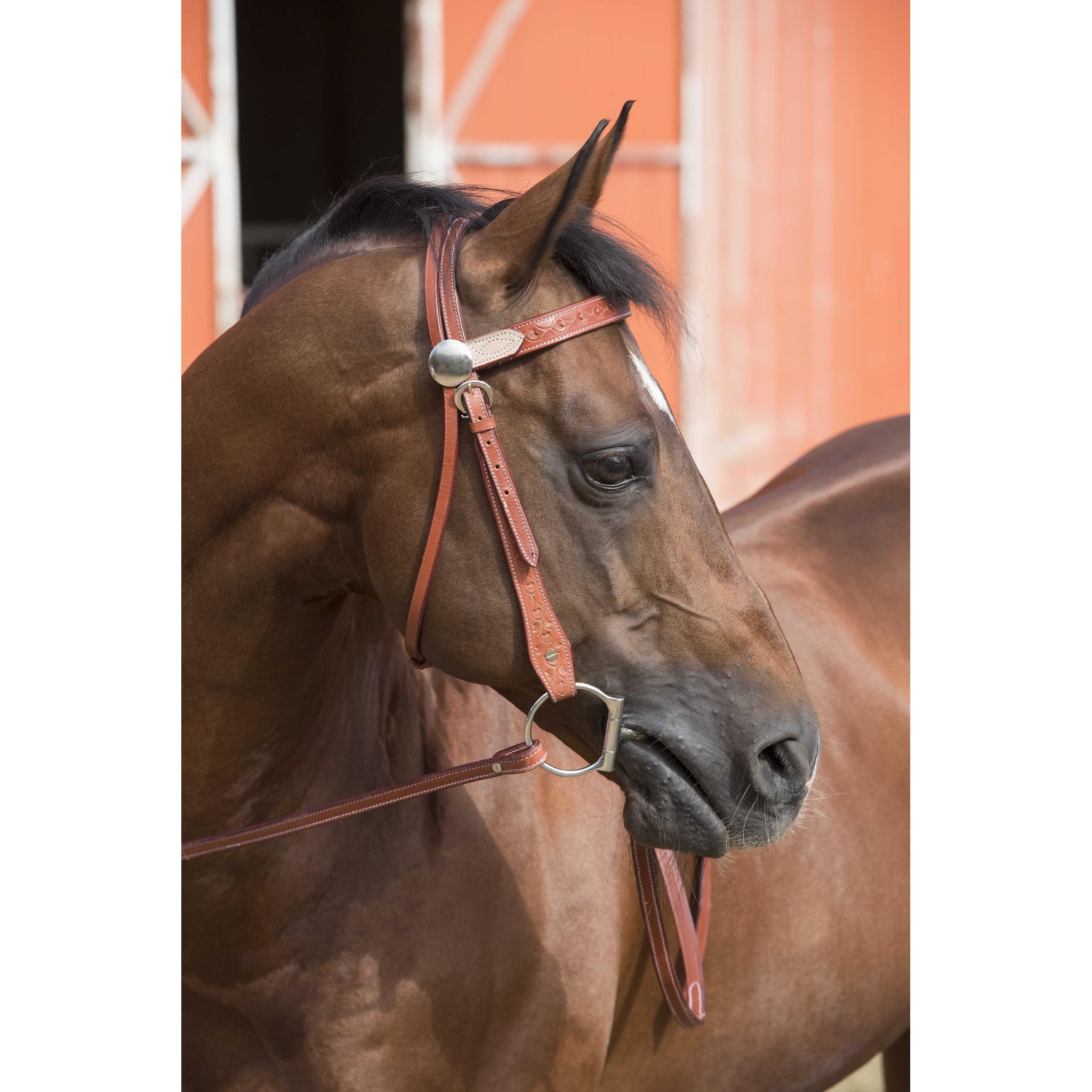Westride Two Tone bridle Chestnut 802061017