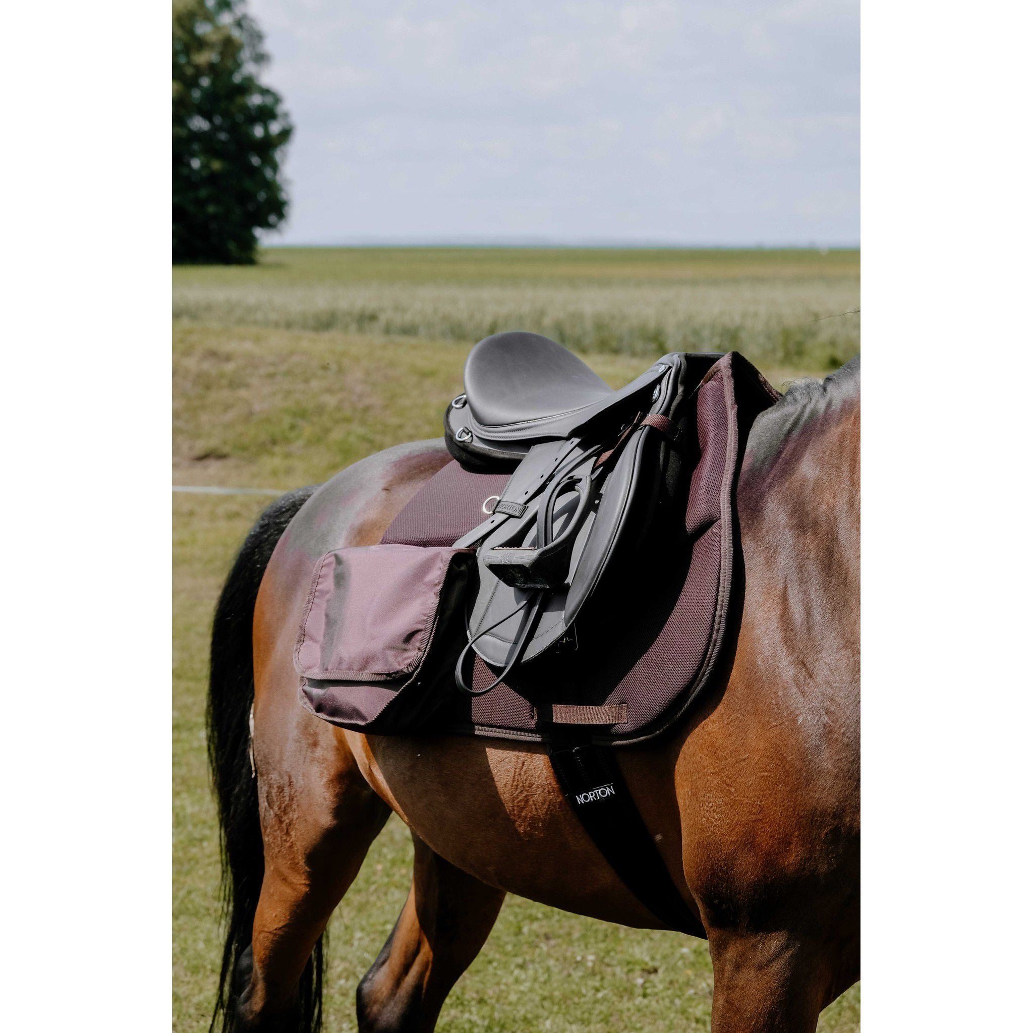 Randol's Mesh Trail pad Brown 204481304