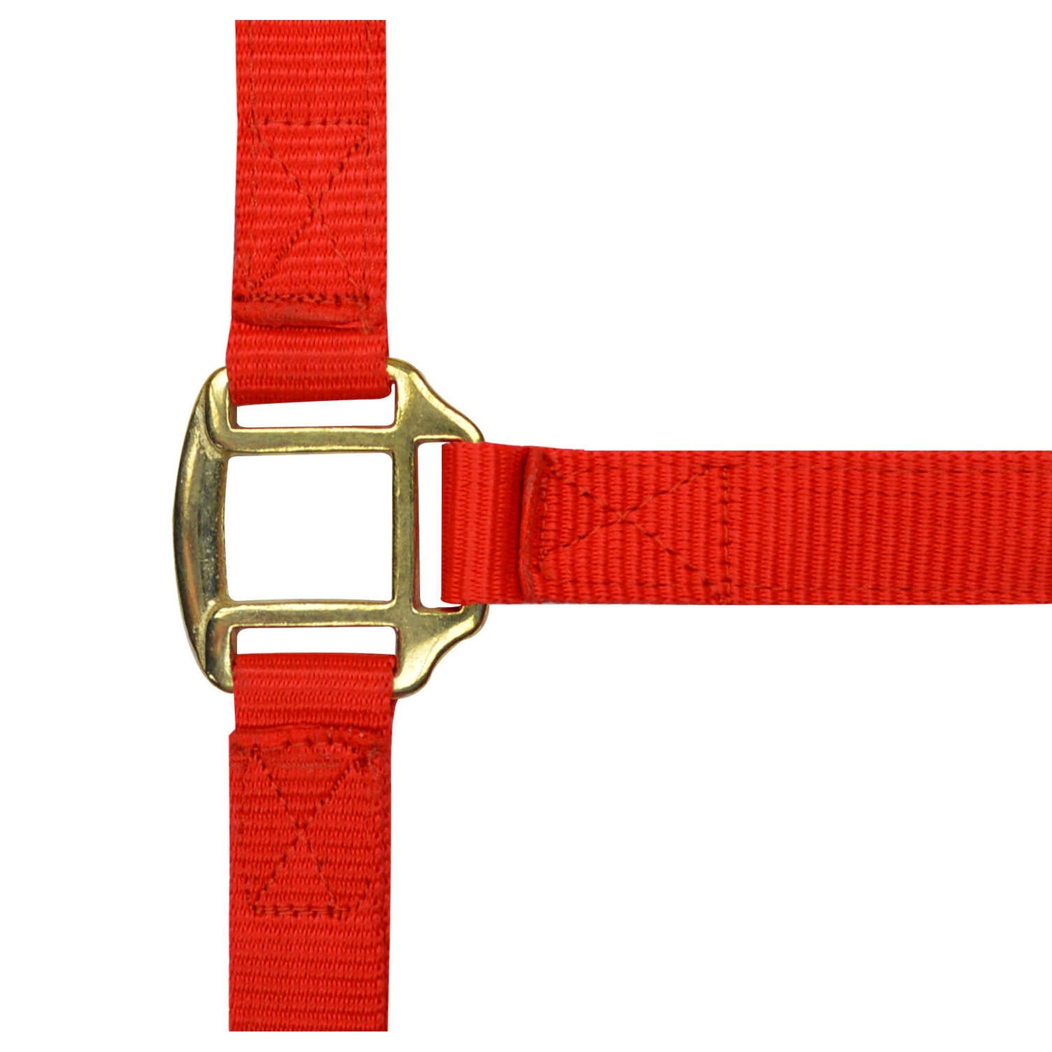 Norton Leather lined nylon headcollar Red 510185003