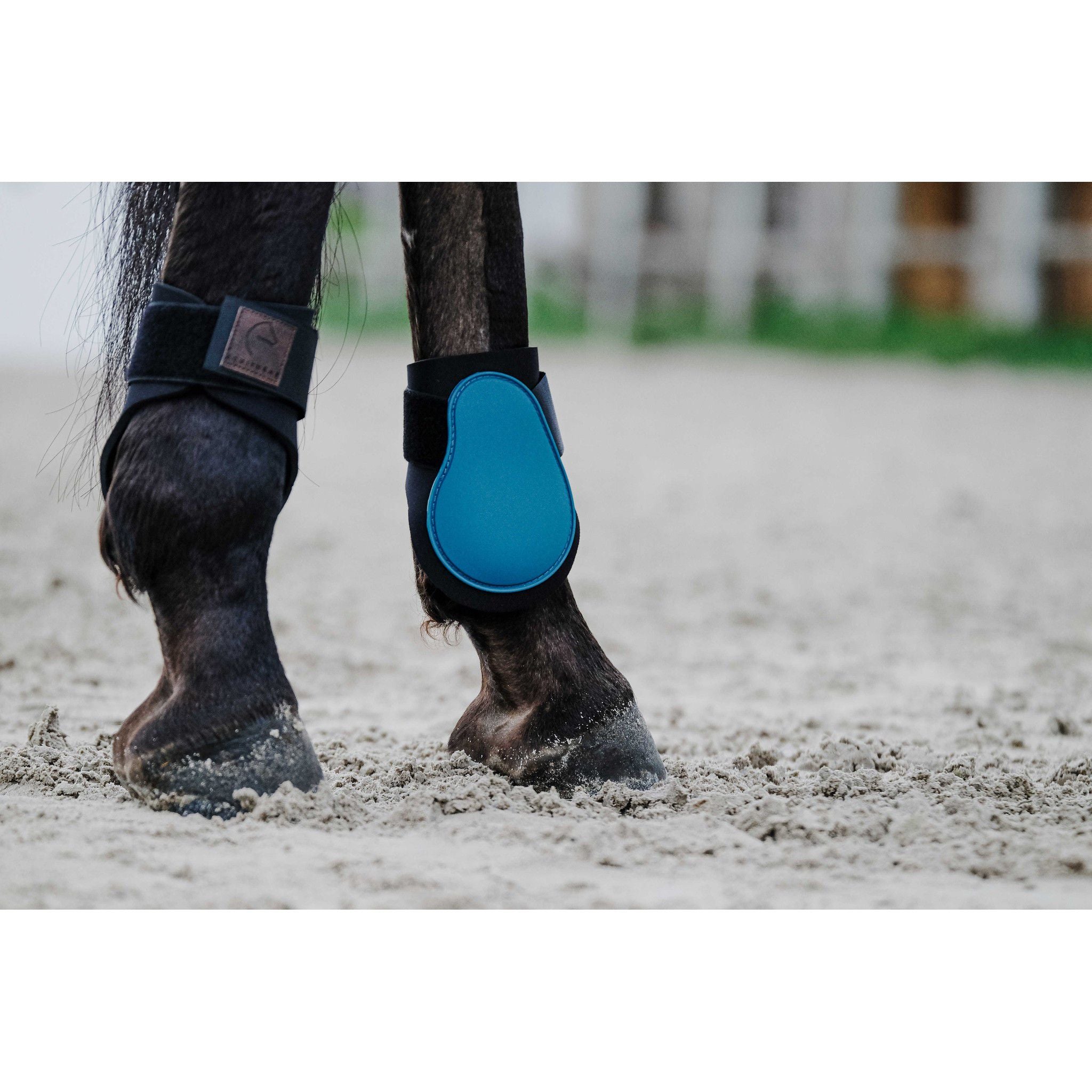 EQUITHÈME Tara Fetlock boots Peacock blue 530817240