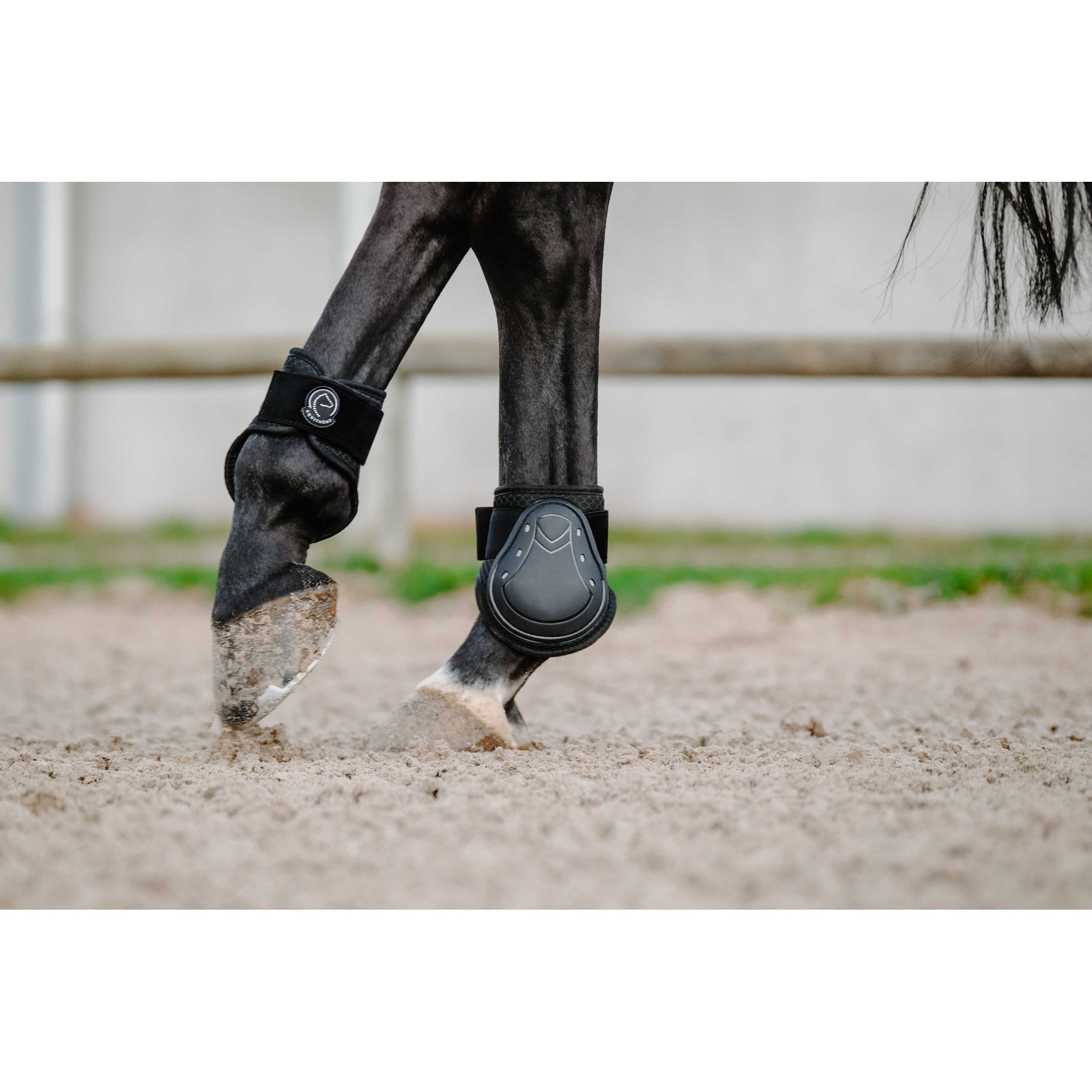 Je t'aime EQUITHÈME Fetlock + Tendon Boots Black 530820302