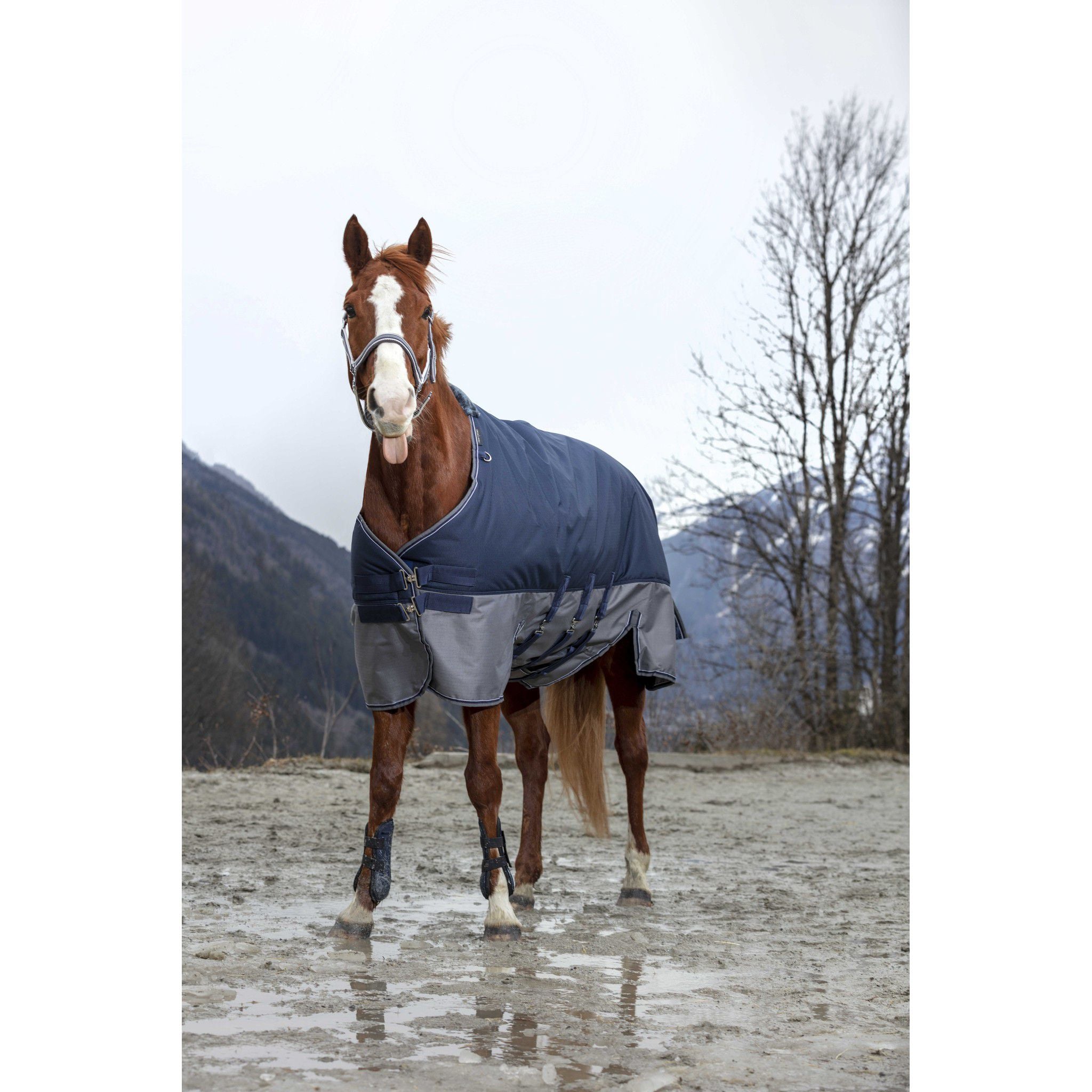EQUITHÈME Tyrex New 600 D Turnout rug - belly belt Navy blue/grey 400922763