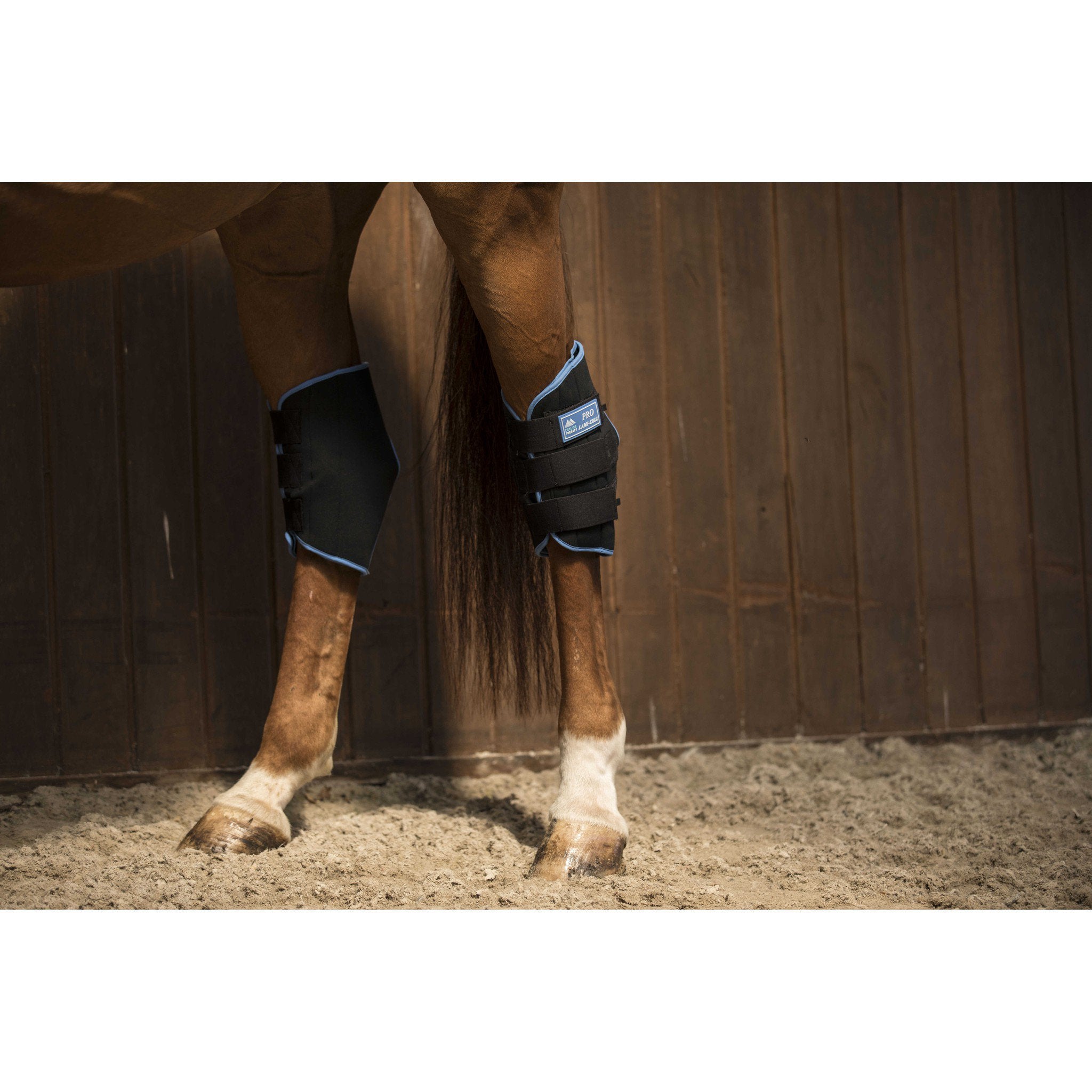 Lami-Cell Ice Boots hock guards Black/blue 541022326