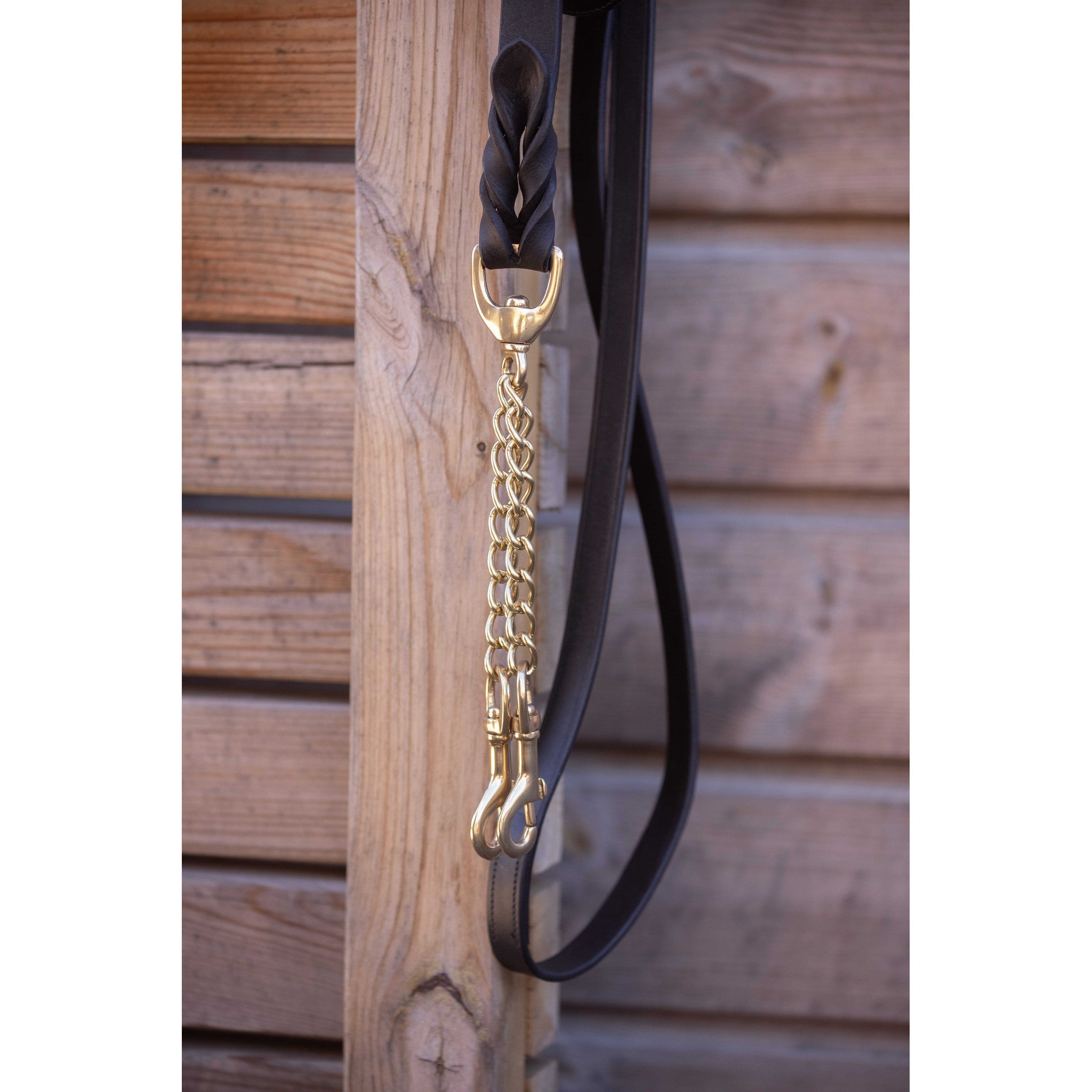 Paddock Sports Presentation Lead Rope Black 520034002