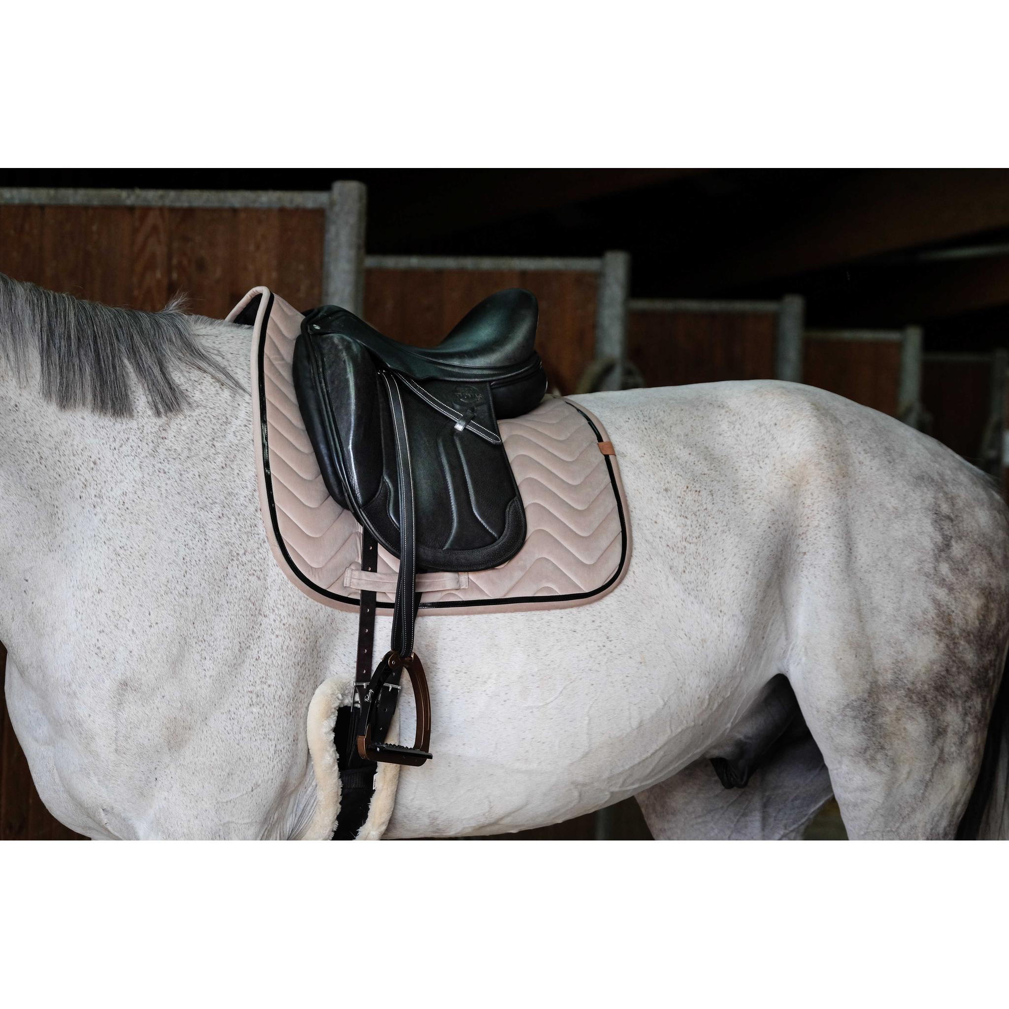 EQUITHÈME Glossy Dressage Saddle Pad Beige - 204765005_ambi_1