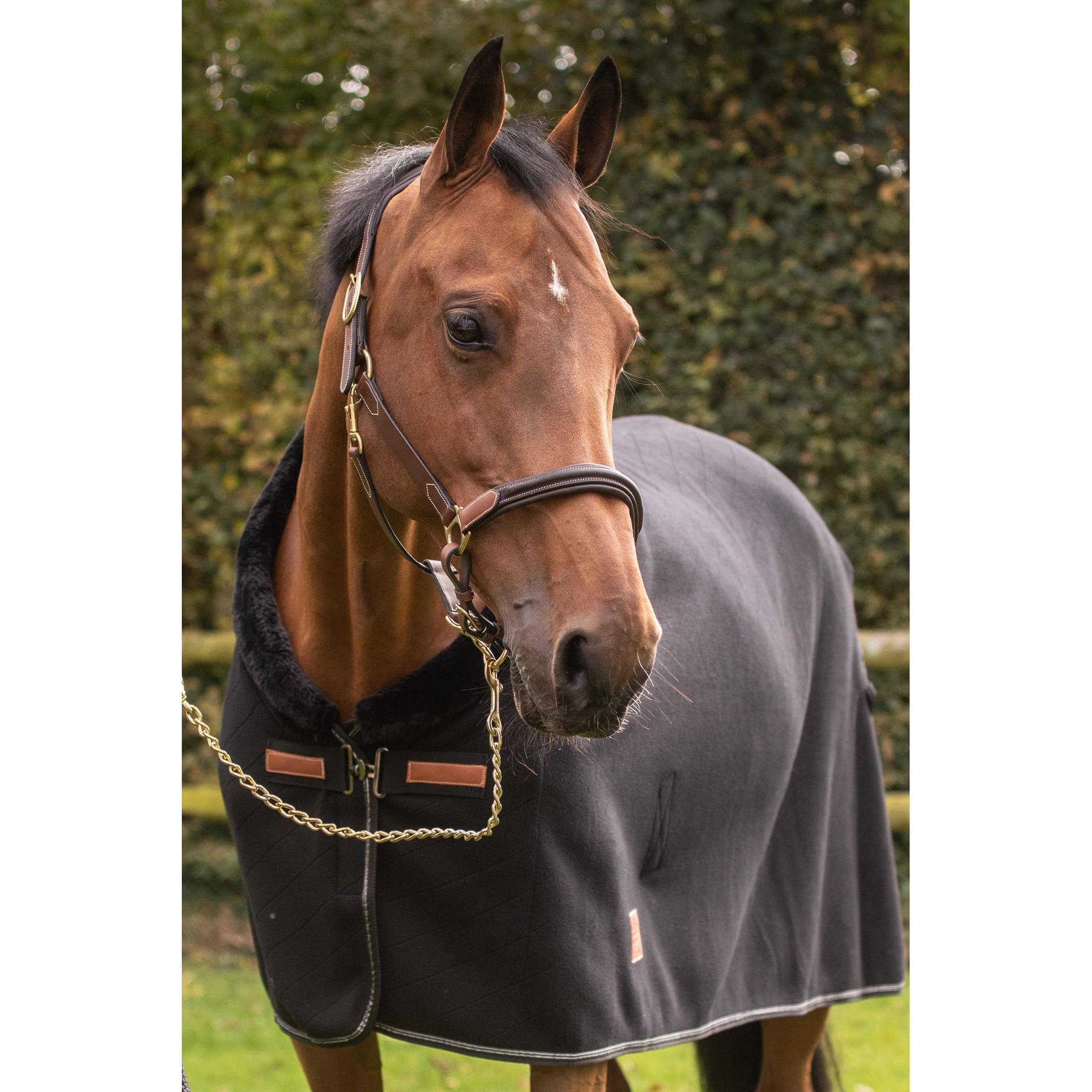 Paddock Sports 3-Snap Halter Havana 301614304