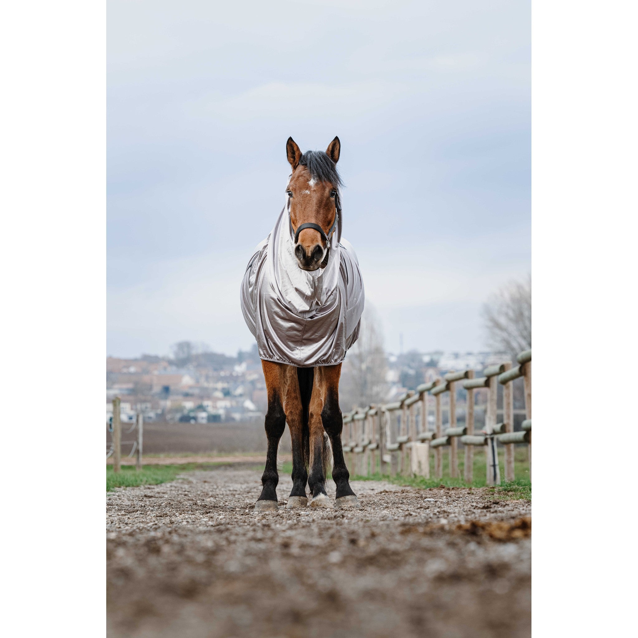 Riding World Anti-Eczema Sheet Grey 400707059