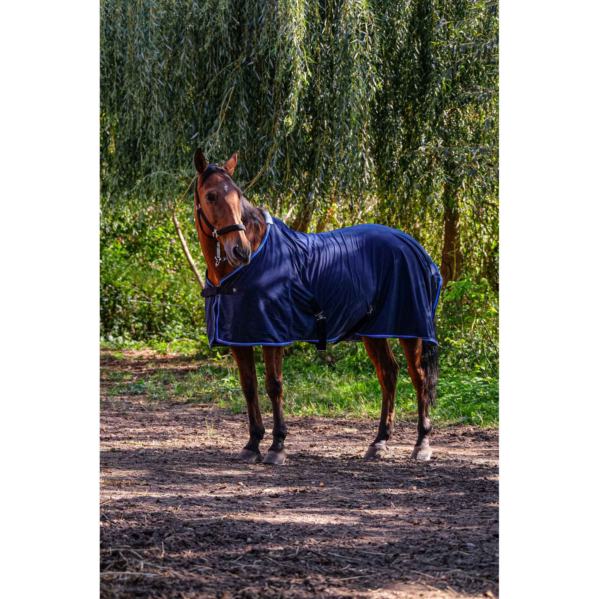 Riding World Fine Mesh Sheet Navy blue 400705063