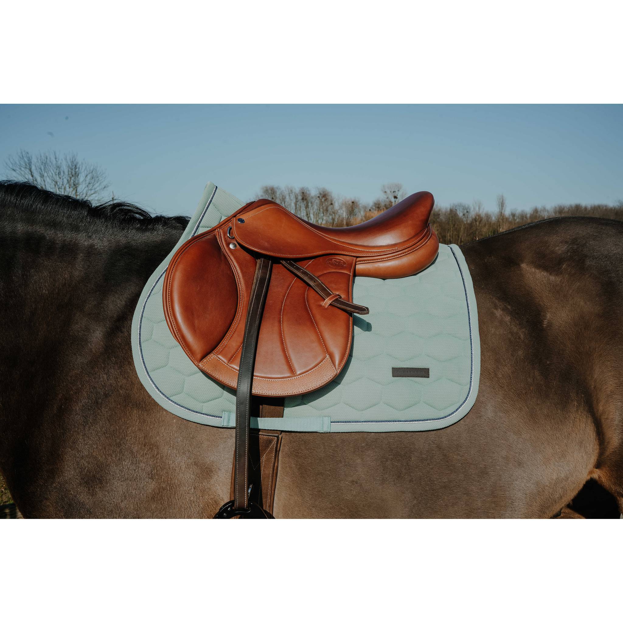 EQUITHÈME Honey All-Purpose Saddle Pad Light green - 204028008_ambi_1