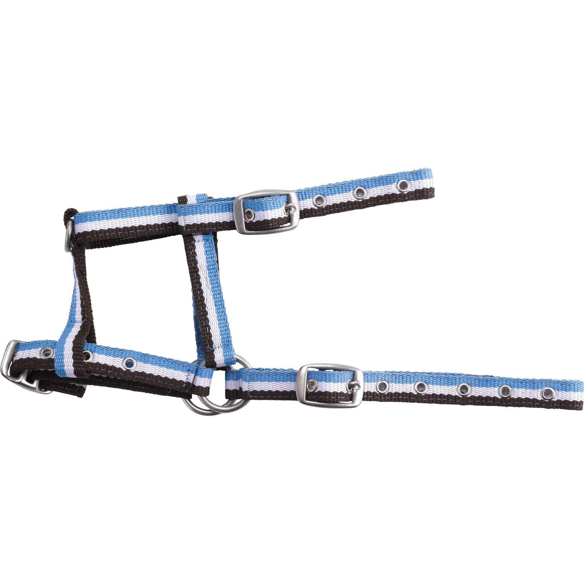 Norton Adjustable foal headcollar Chocolate/white/sky blue 510037412