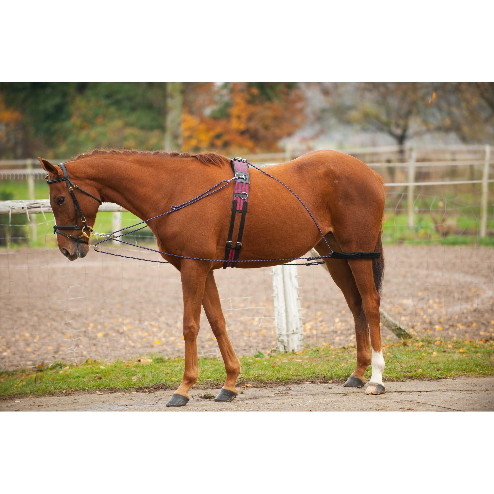 Norton Pulley training aid Two-tone colors, assorted 306423