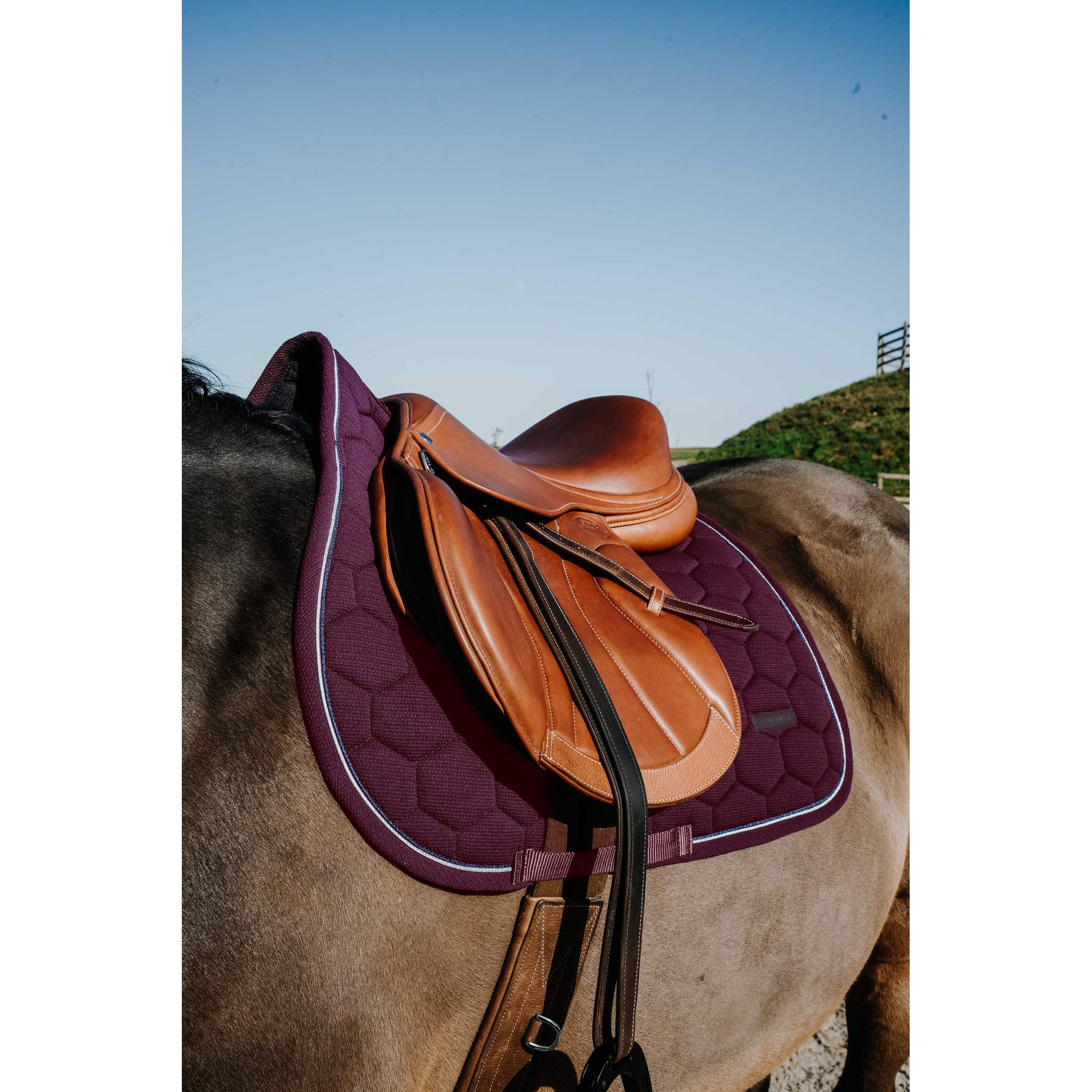 EQUITHÈME All-Purpose Saddle Pad - Honey Burgundy - 204028033_ambi_2