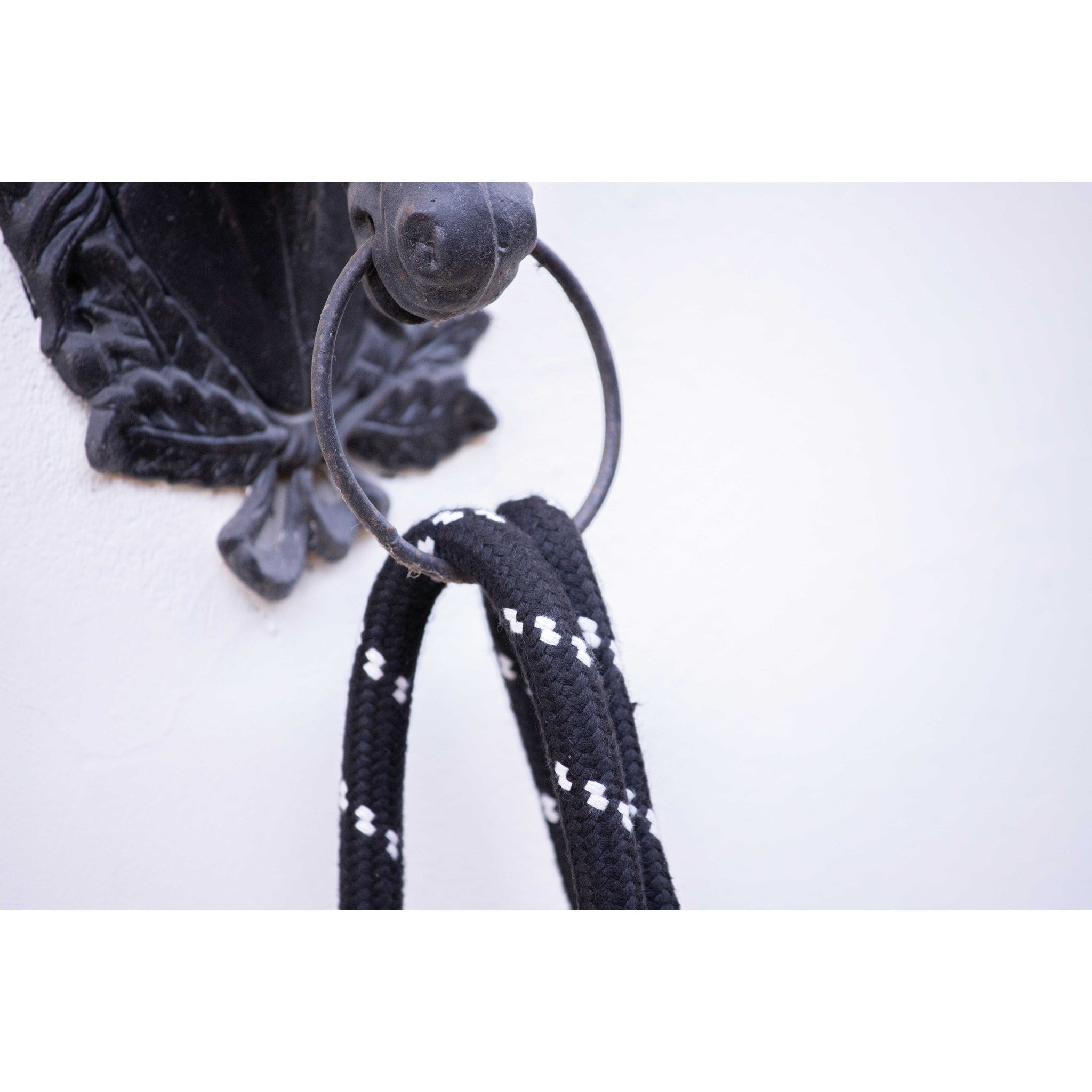 Pénélope rope and leather Lead Rope Havana 520801018