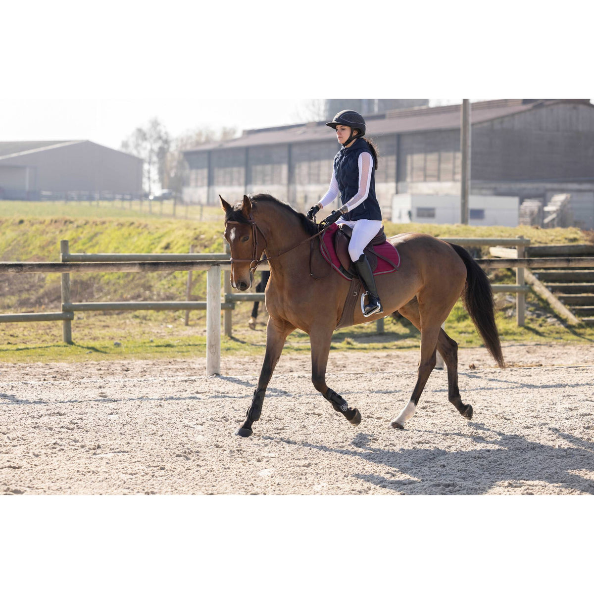 Pro Series Piaffer Safety Vest - Women - Navy blue - 978648072_ambi_2