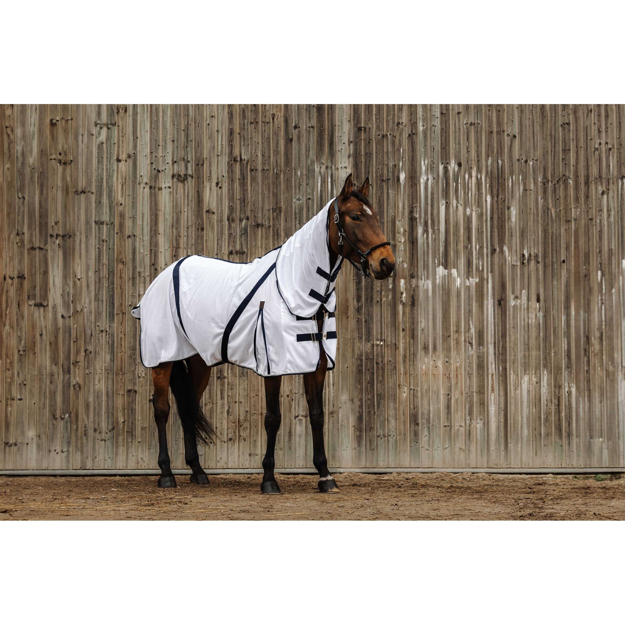 EQUITHÈME Mesh Sheet - Combo White 400350063