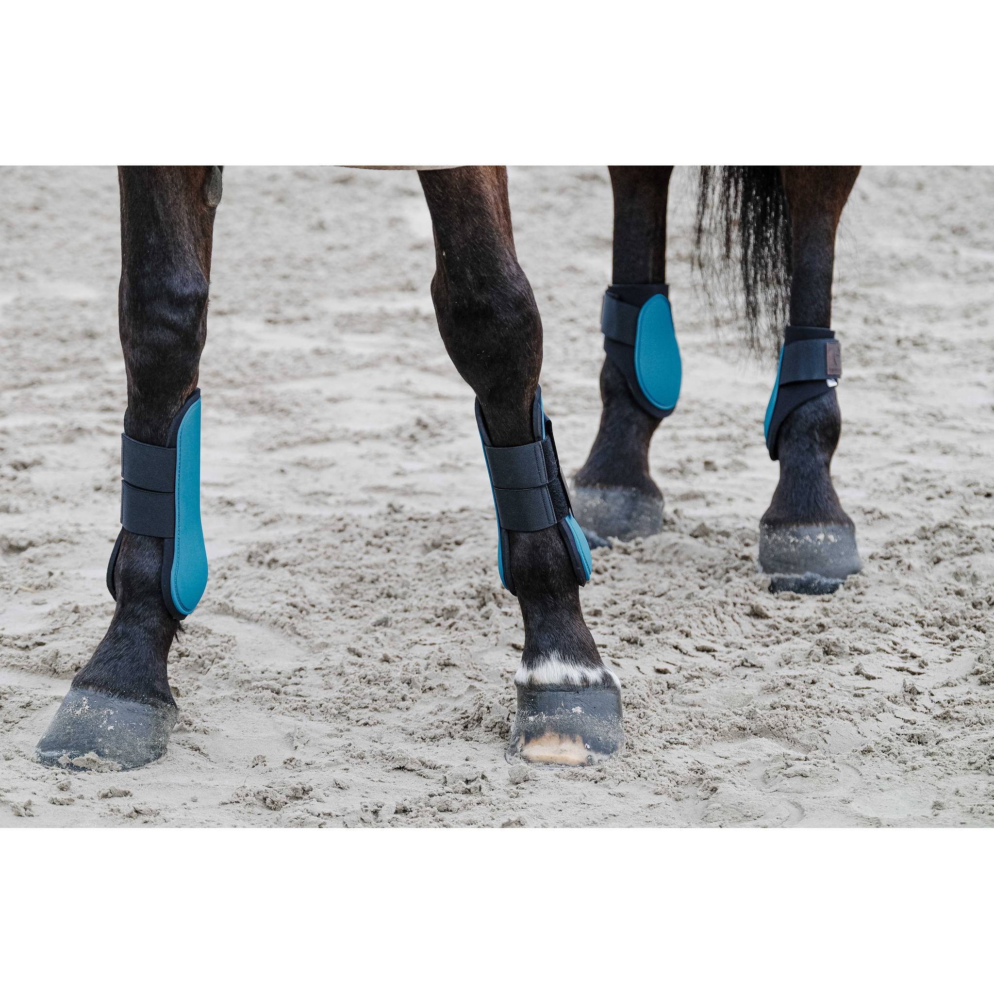EQUITHÈME Tara Tendon boots Peacock blue 530816340