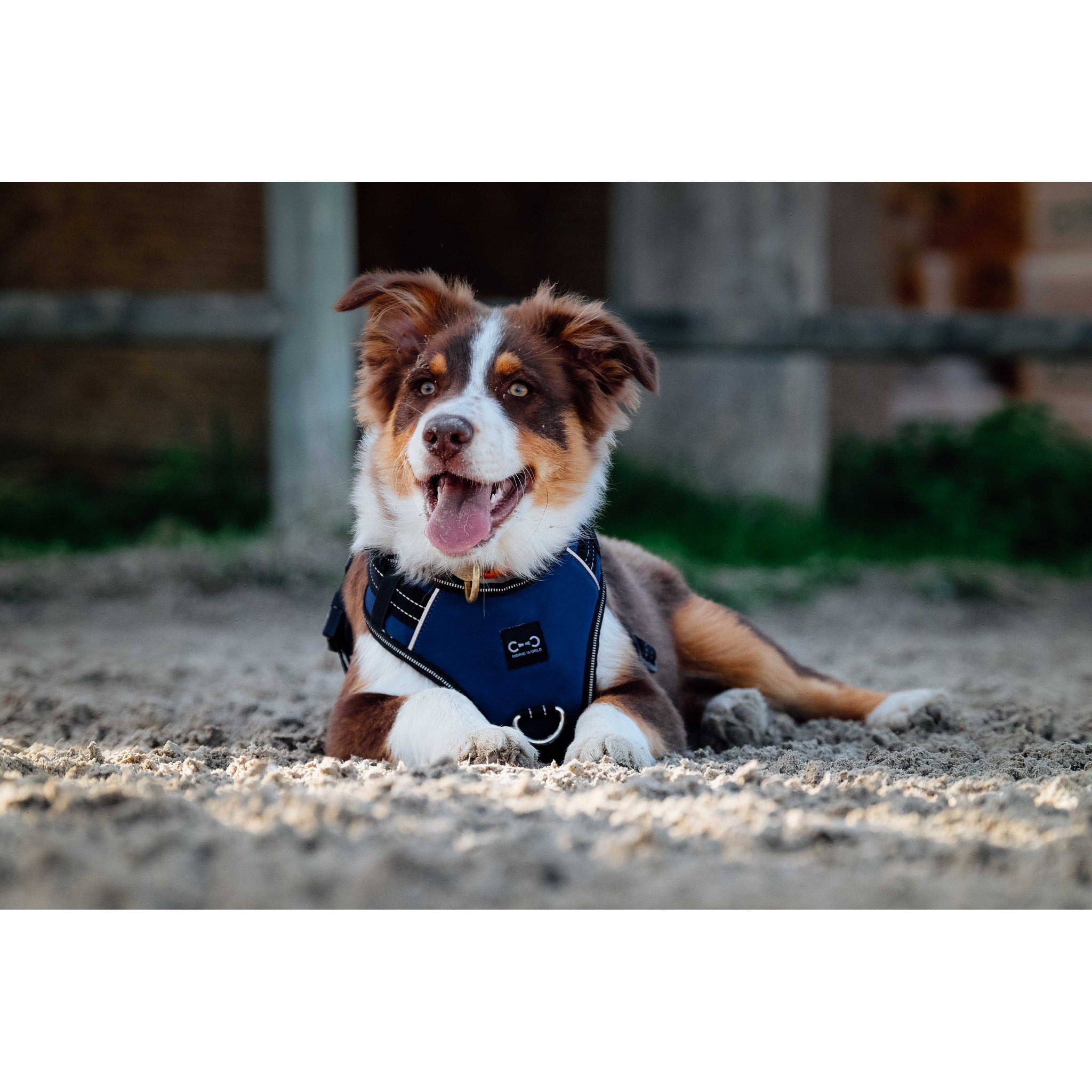 Riding World Simba Dog Harness Navy blue 409059002