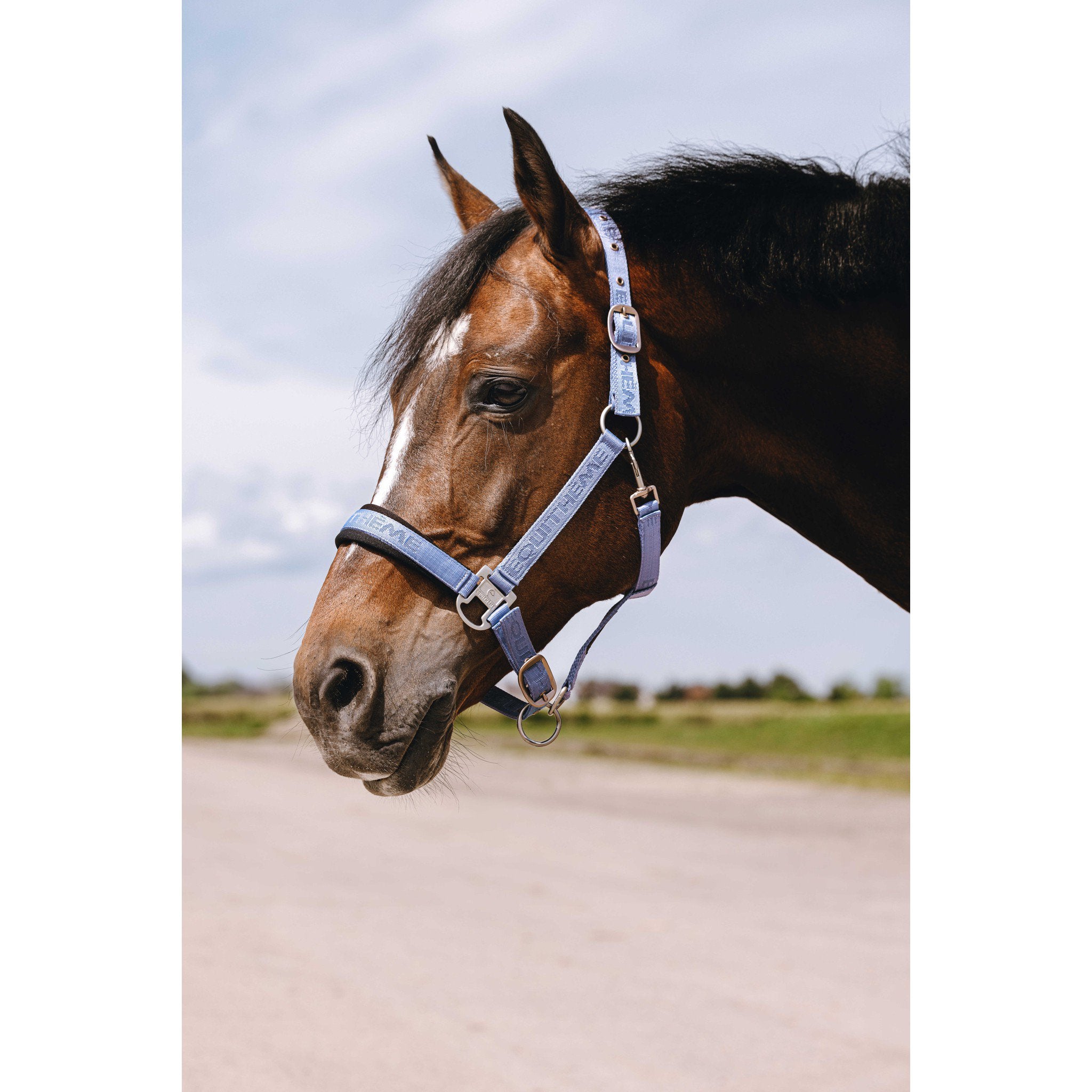 EQUITHÈME Jacquard Halter Light blue 510259312