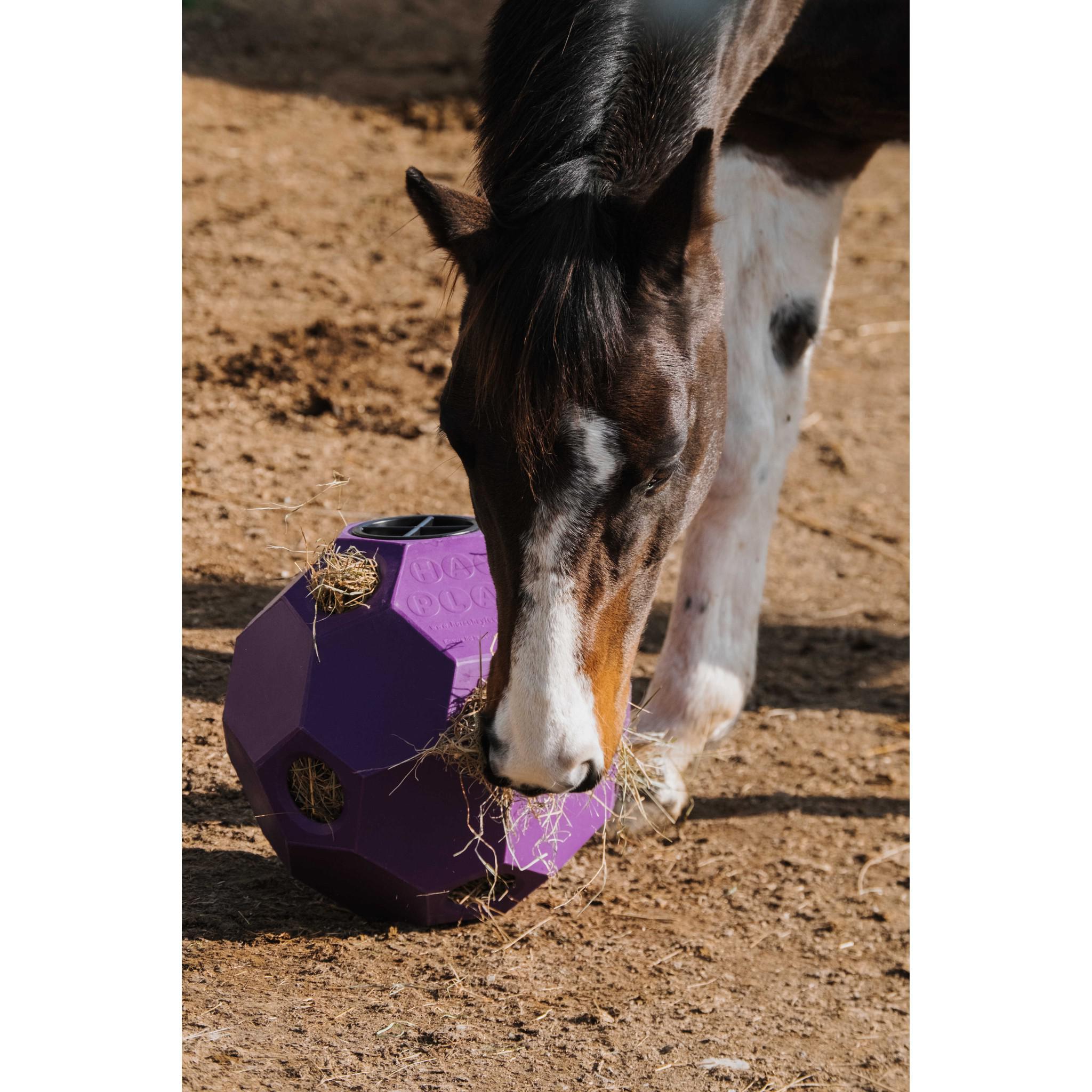 Hippo-Tonic Slow Feeder Hay Ball Purple 900115015