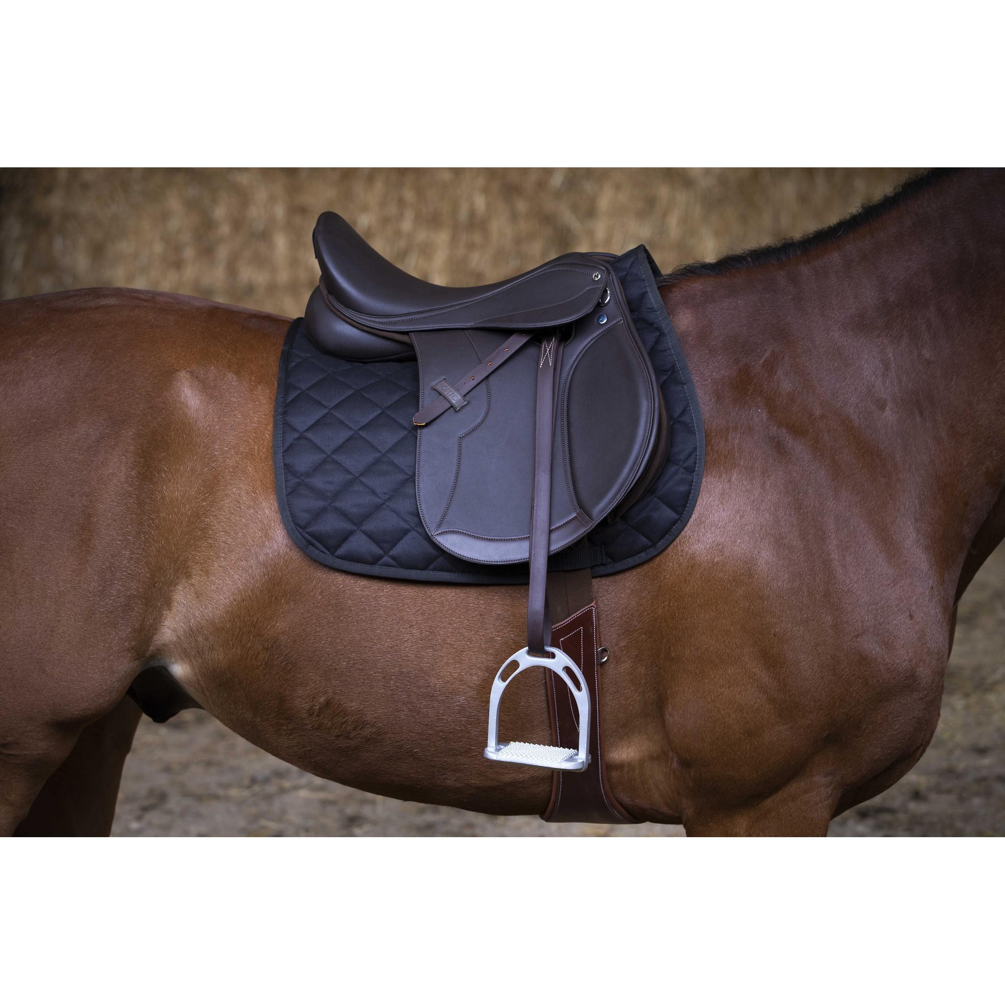 Norton Club Rexine Evol Saddle Brown 117116470