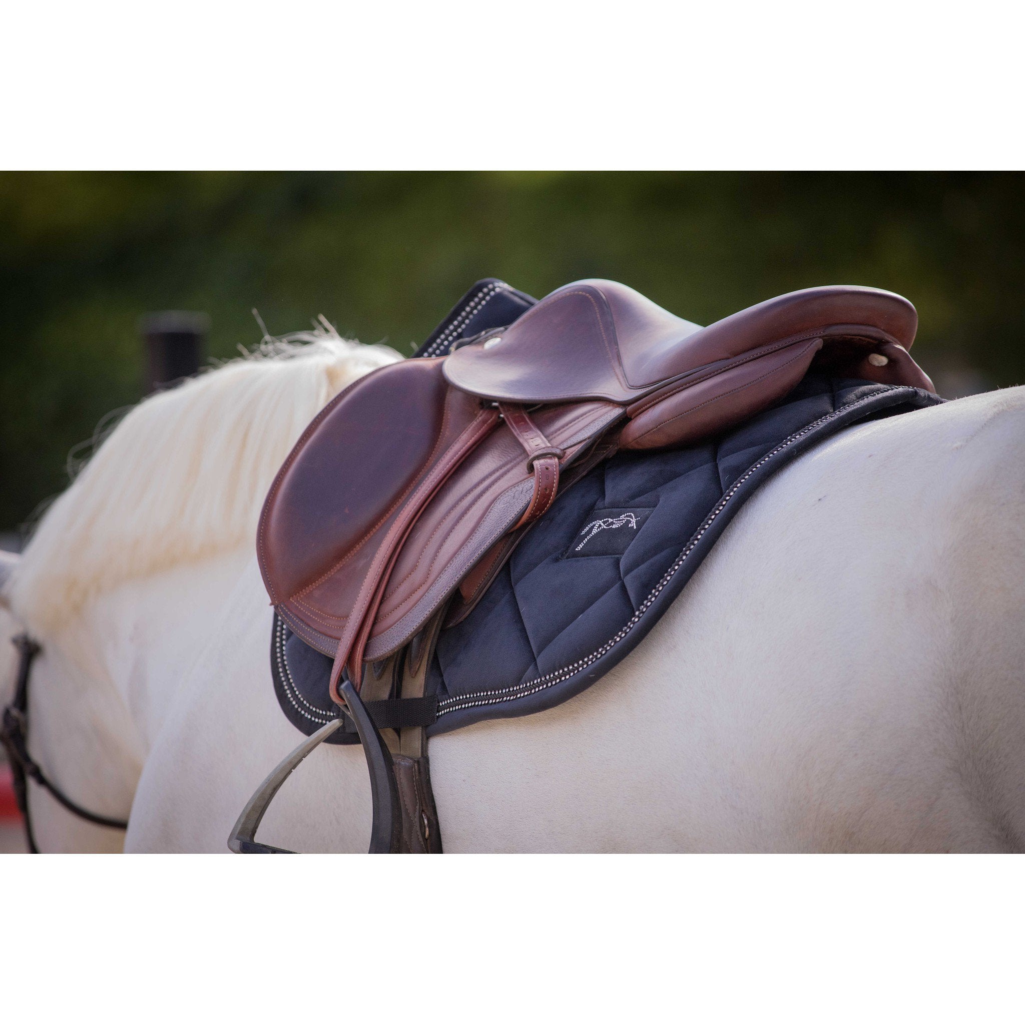 Eden by Pénélope New Strass Saddle pad - All purpose Black 204842002