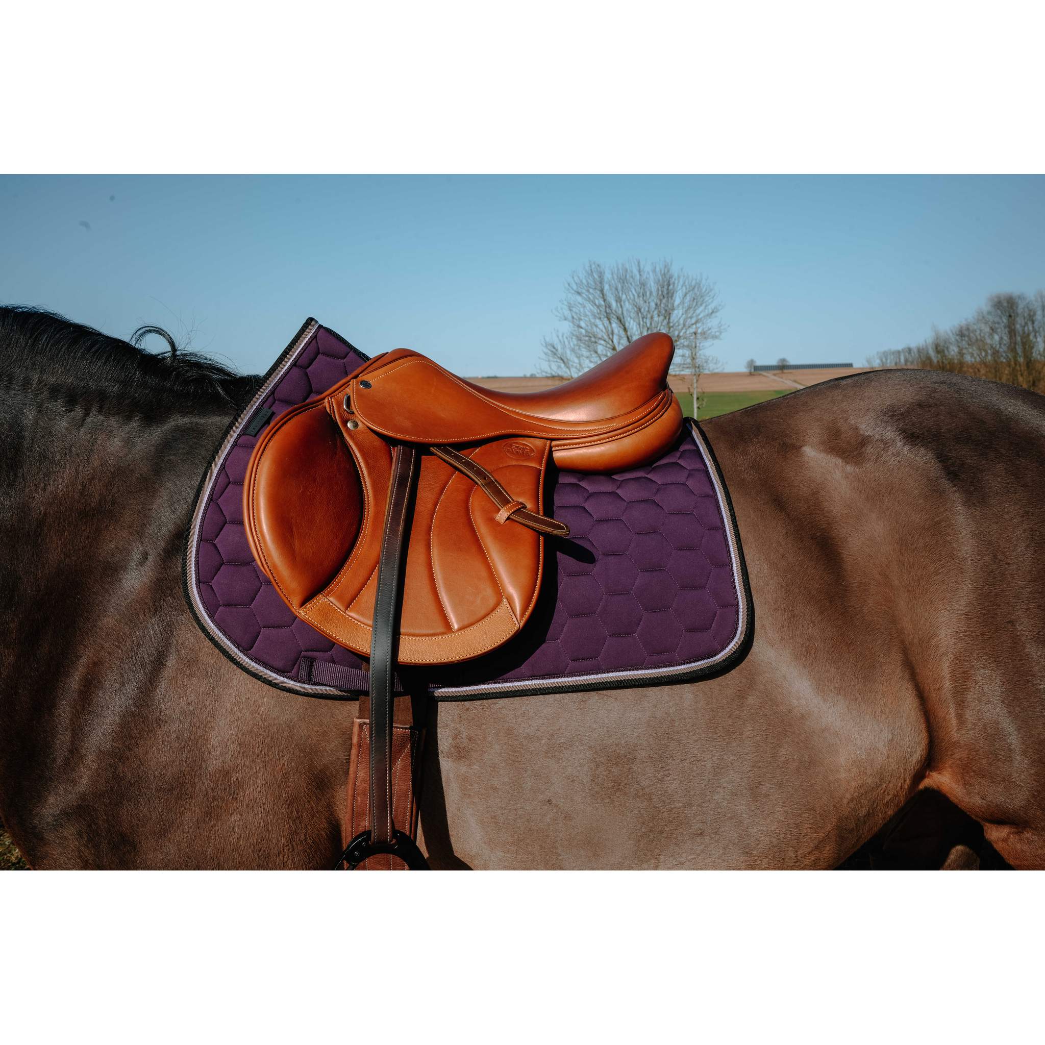 EQUITHÈME All-Purpose Saddle Pad - Coco Plum - 204913015_ambi_1