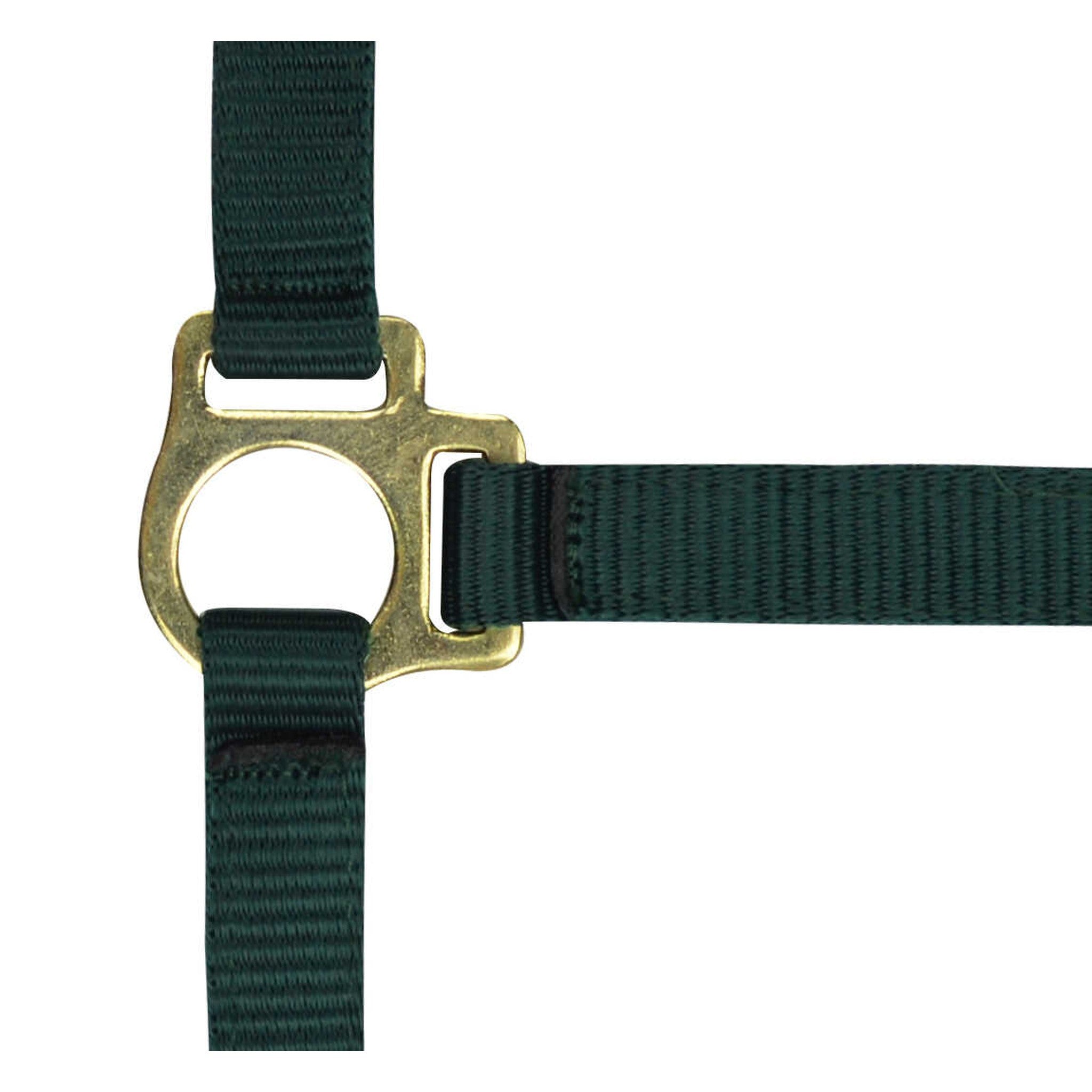 Norton Nylon halter foal Dark green 510038009