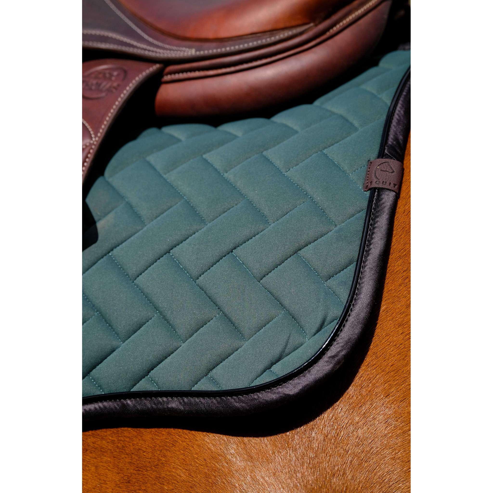 EQUITHÈME Impulsion Saddle Pad - All purpose Green 204006009