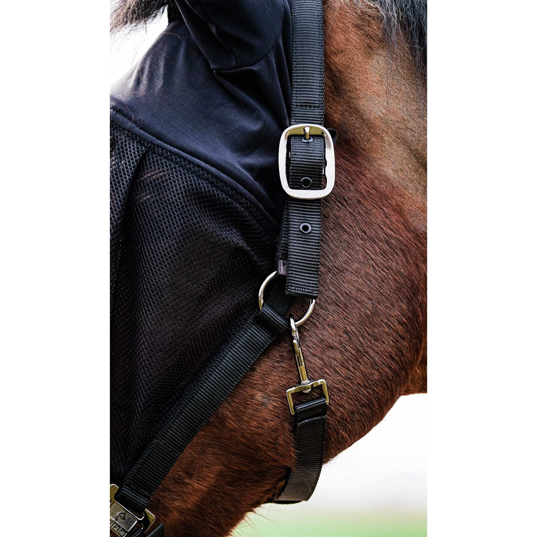 EQUITHÈME Halter + fly mask Black 510062003