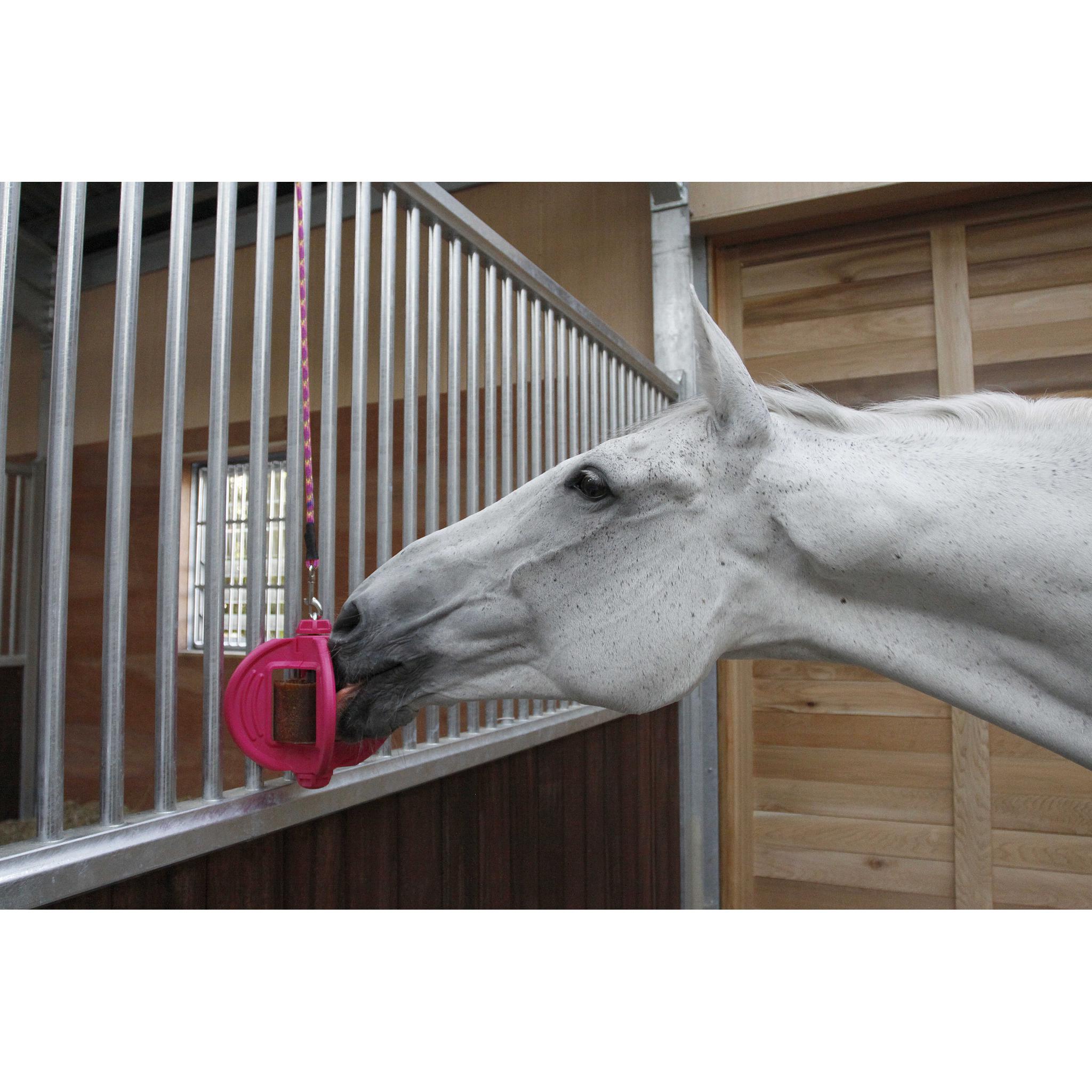 Bizzy Ball Holder Fuchsia - 380080052_ambi_7