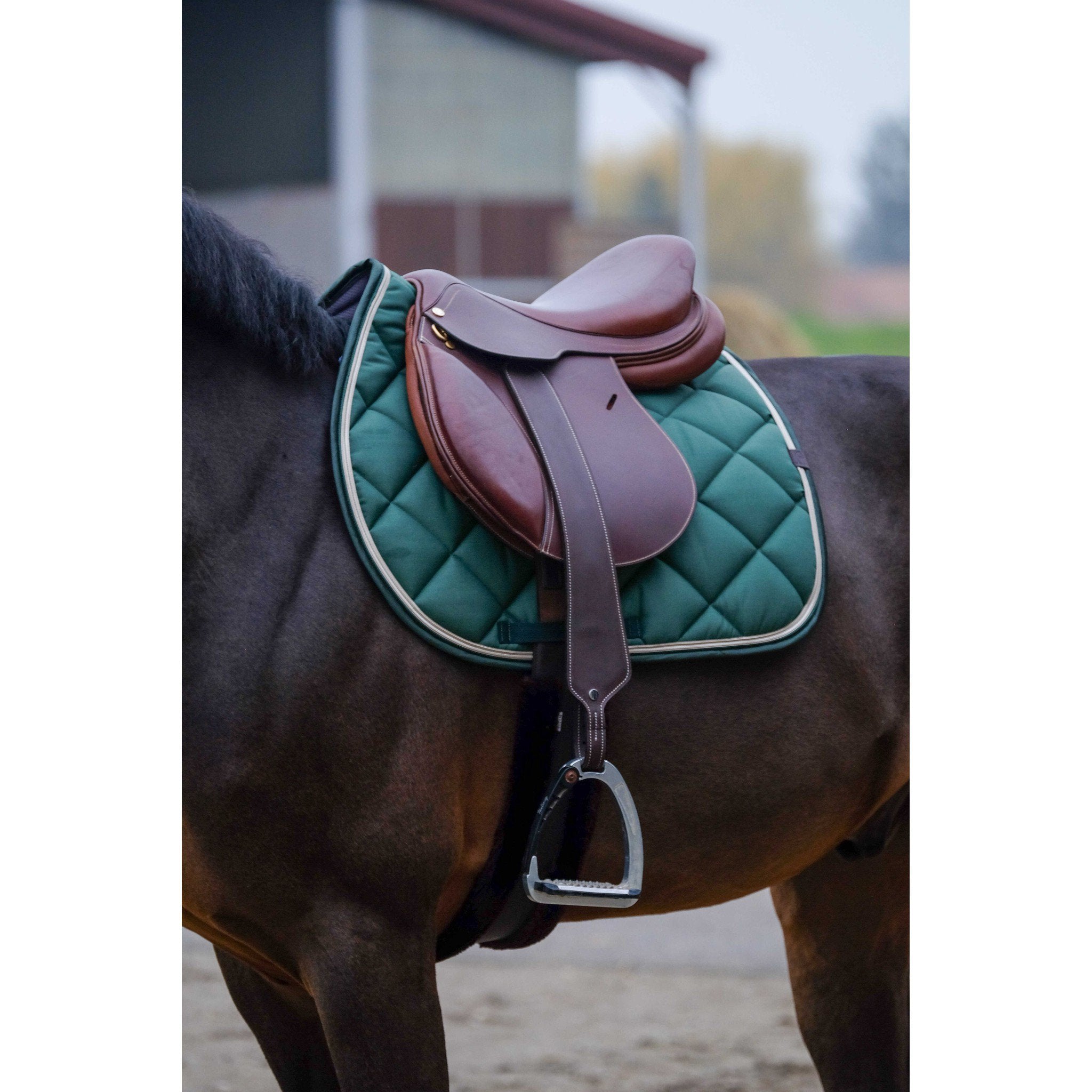 EQUITHÈME Classic Saddle pad - All purpose Dark green 204773008