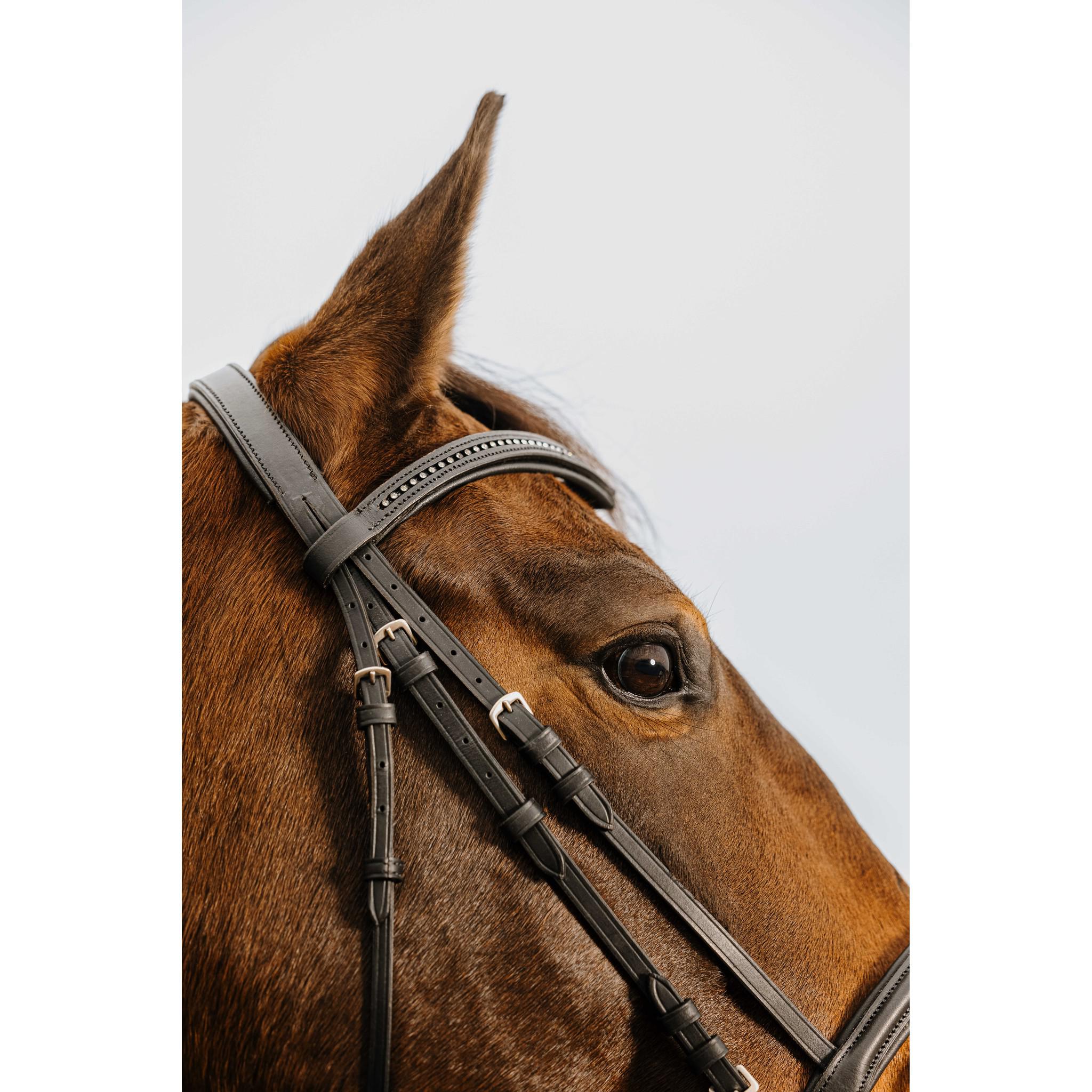 Norton Club Strass V Bridle Black 301910302