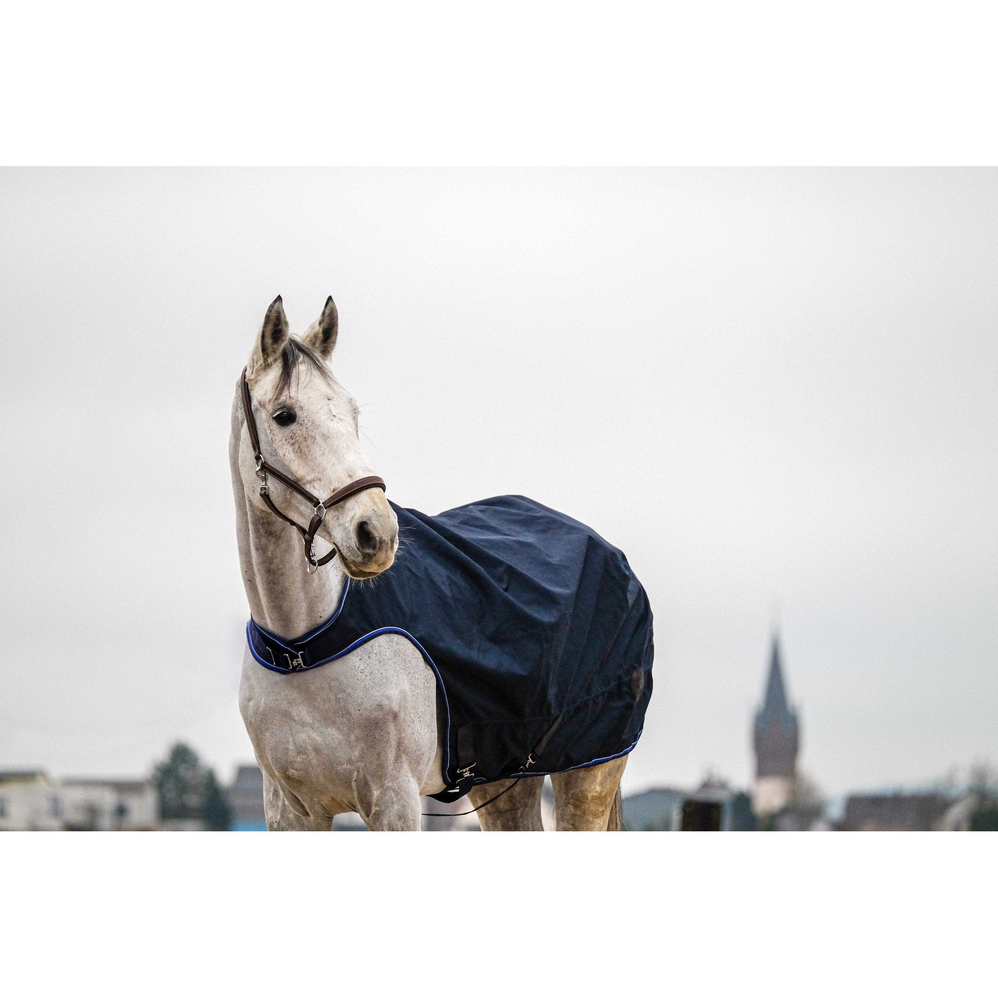 EQUITHÈME Classic 1200D Walker rug Navy blue 400632063