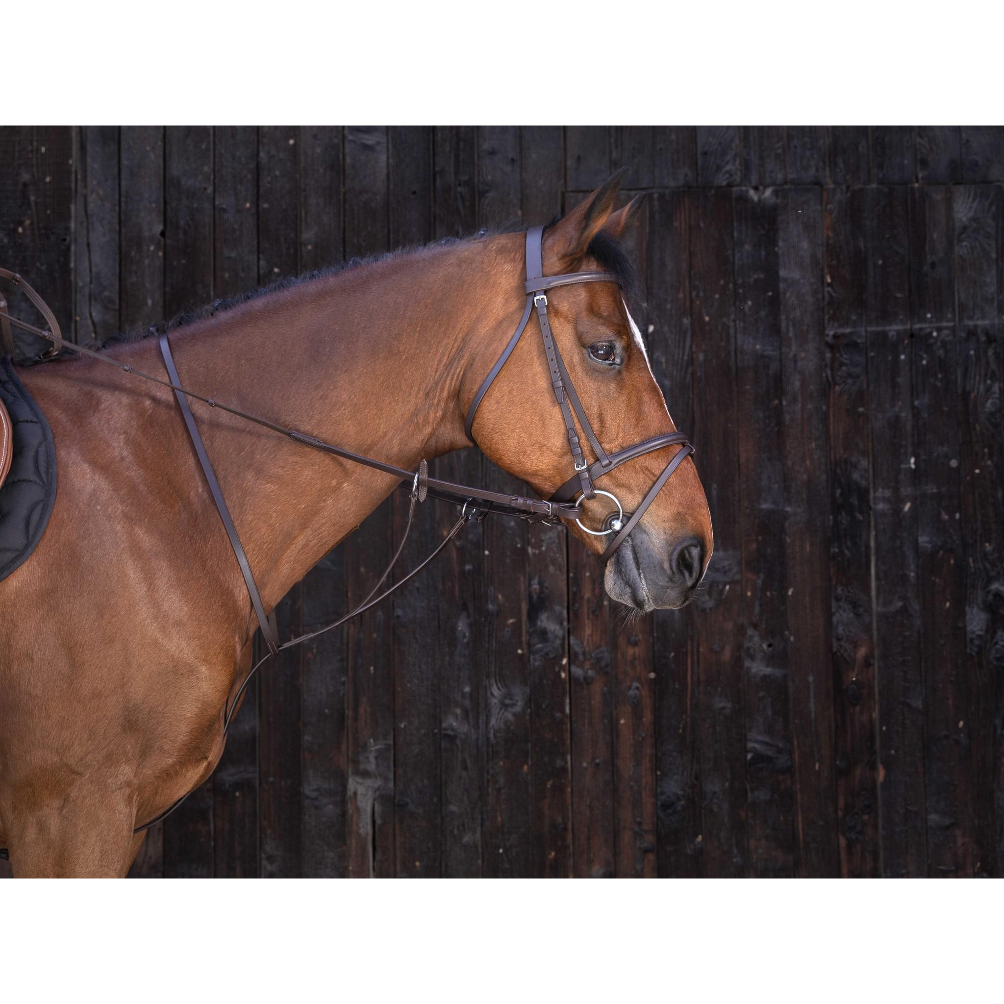 Running martingale Riding World Havana 306121318