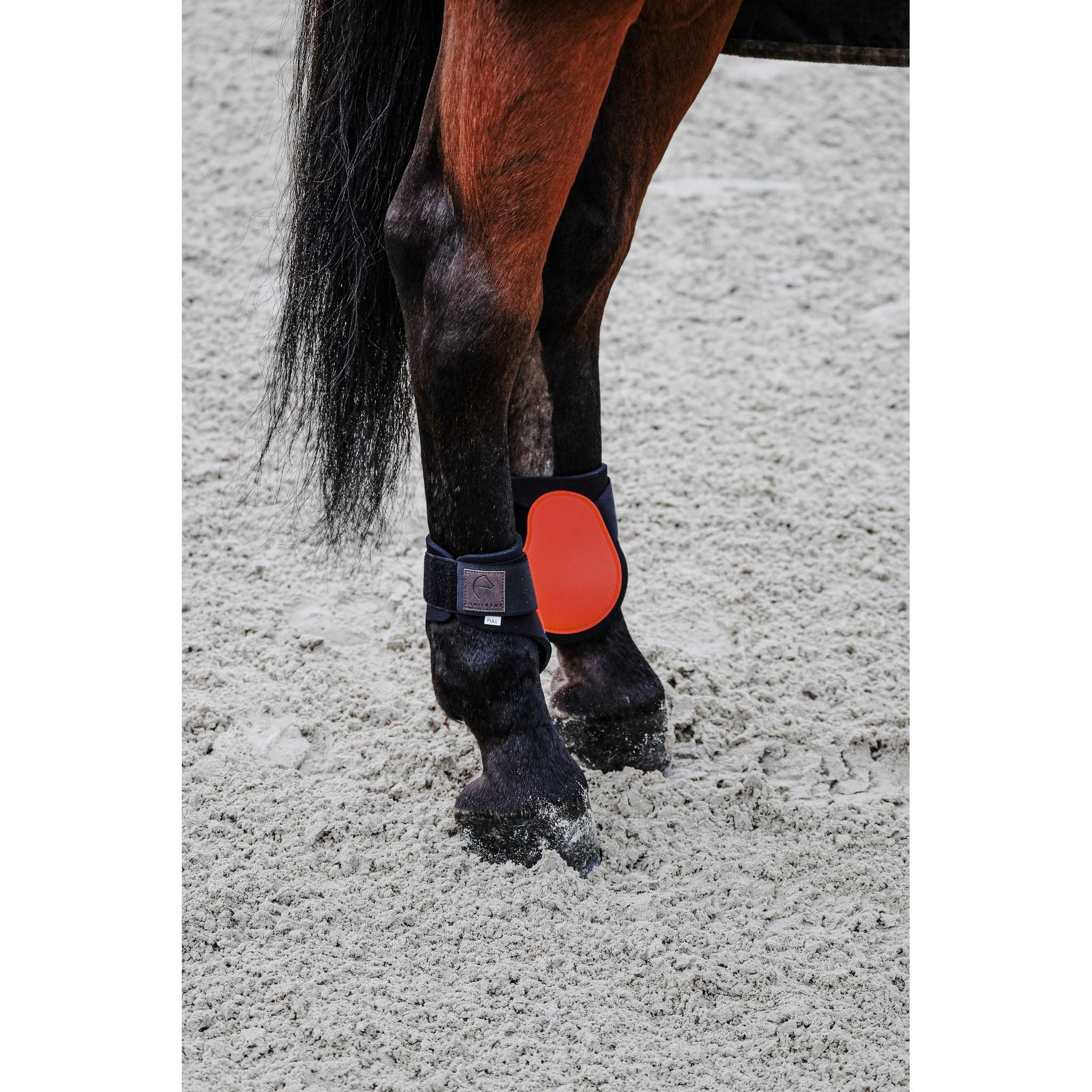 EQUITHÈME Tara Fetlock boots Orange 530817322