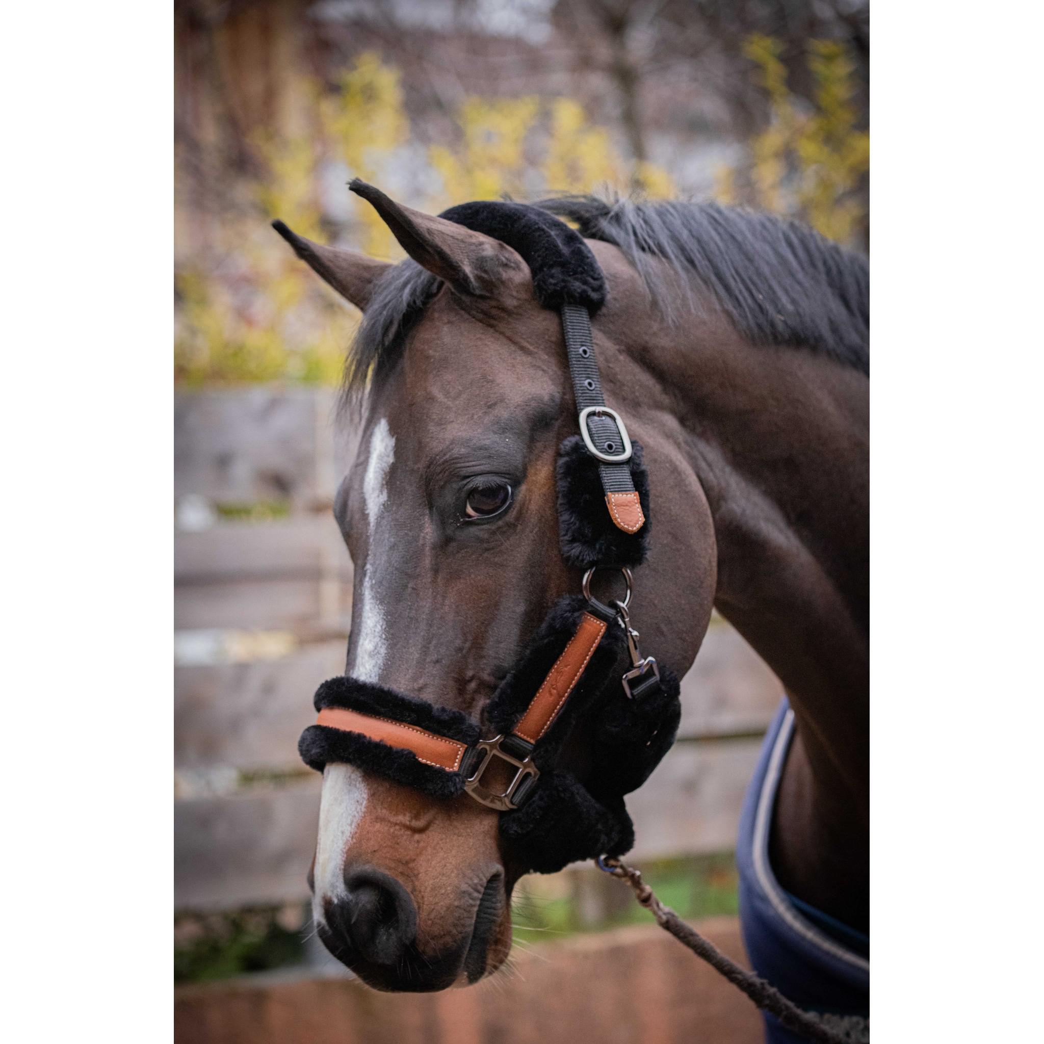 Pénélope Soft halter Black/ecru 510902325