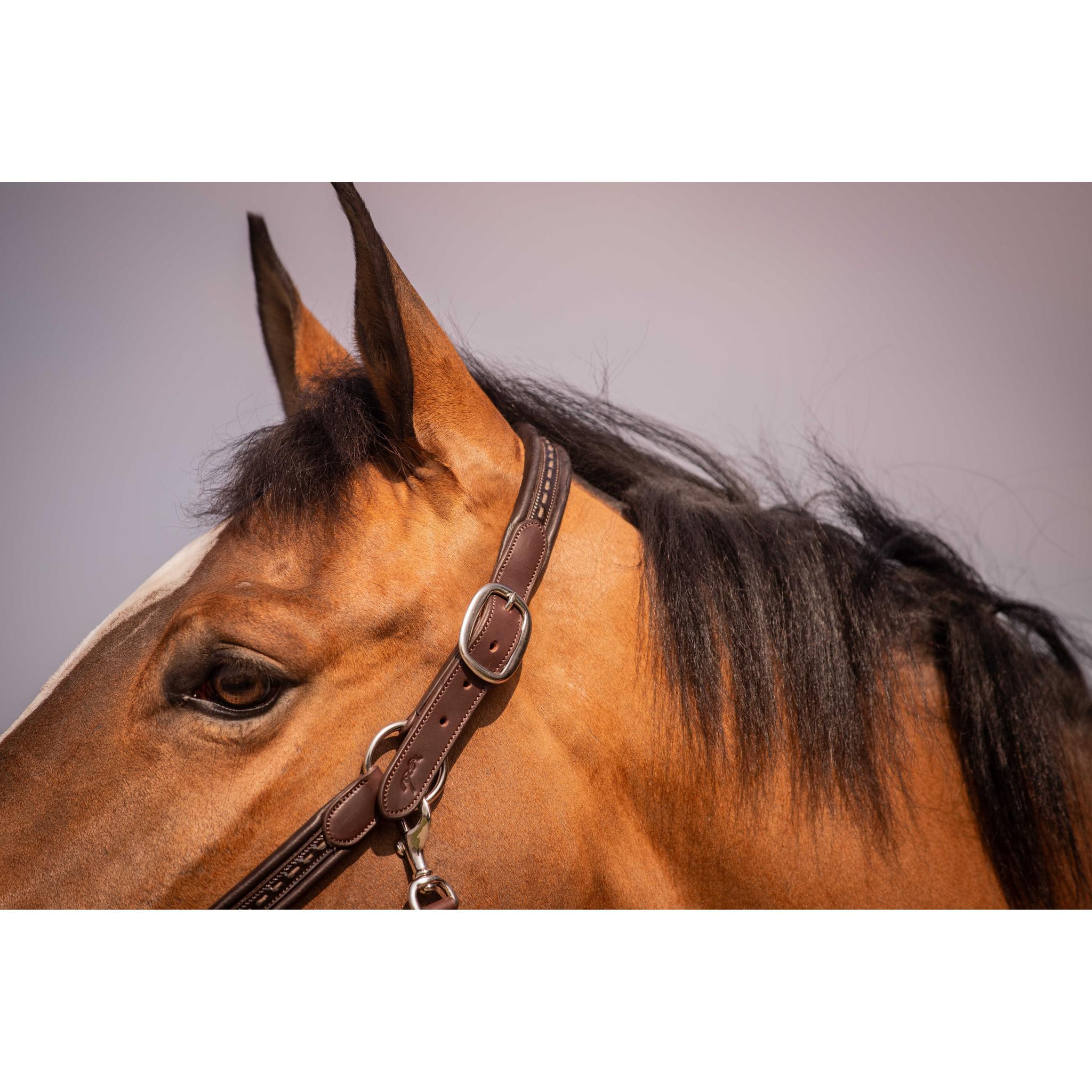 Pénélope Harmonie Halter Havana 301611318