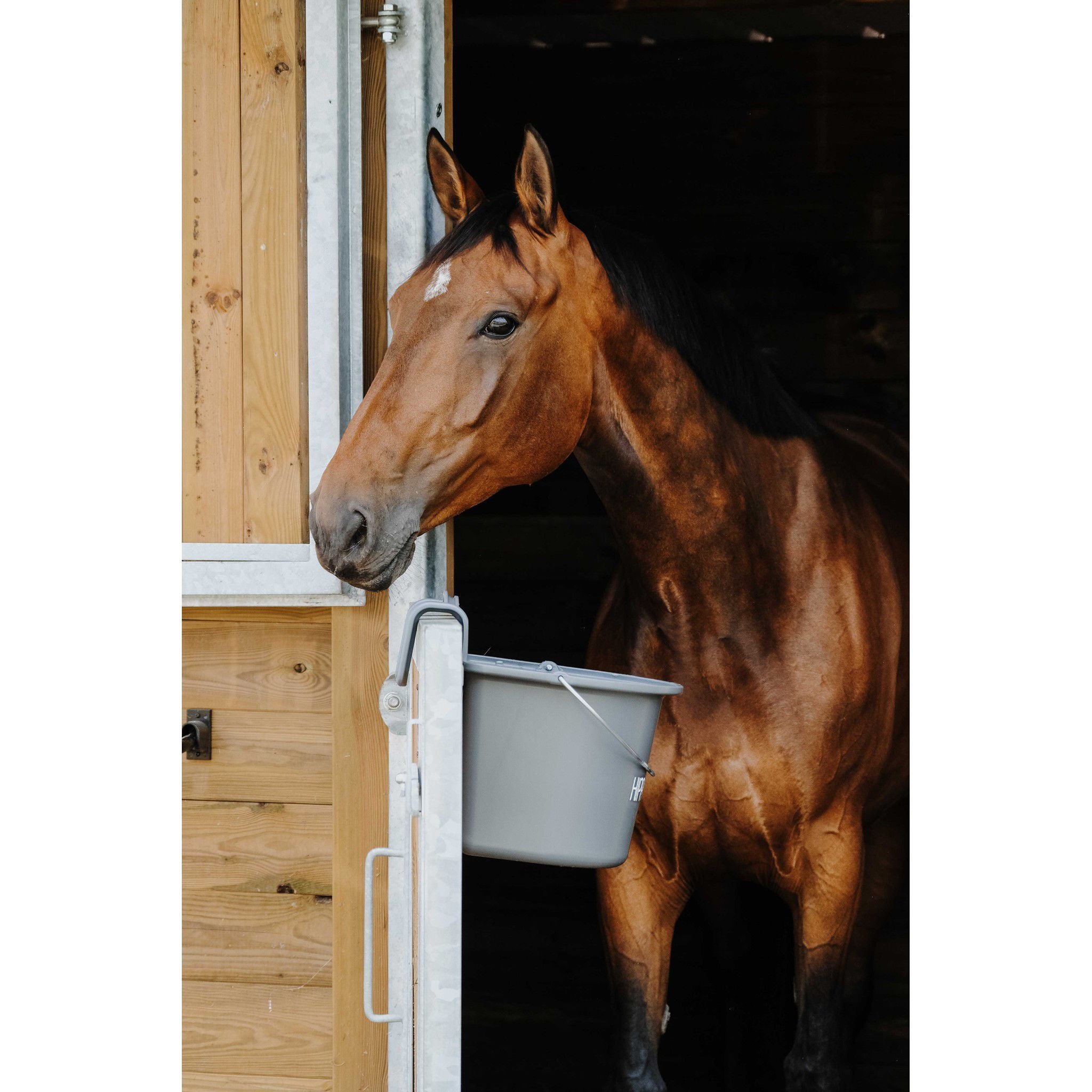 Hippo-Tonic Feeder with Hooks and Handle Dark grey 704199031