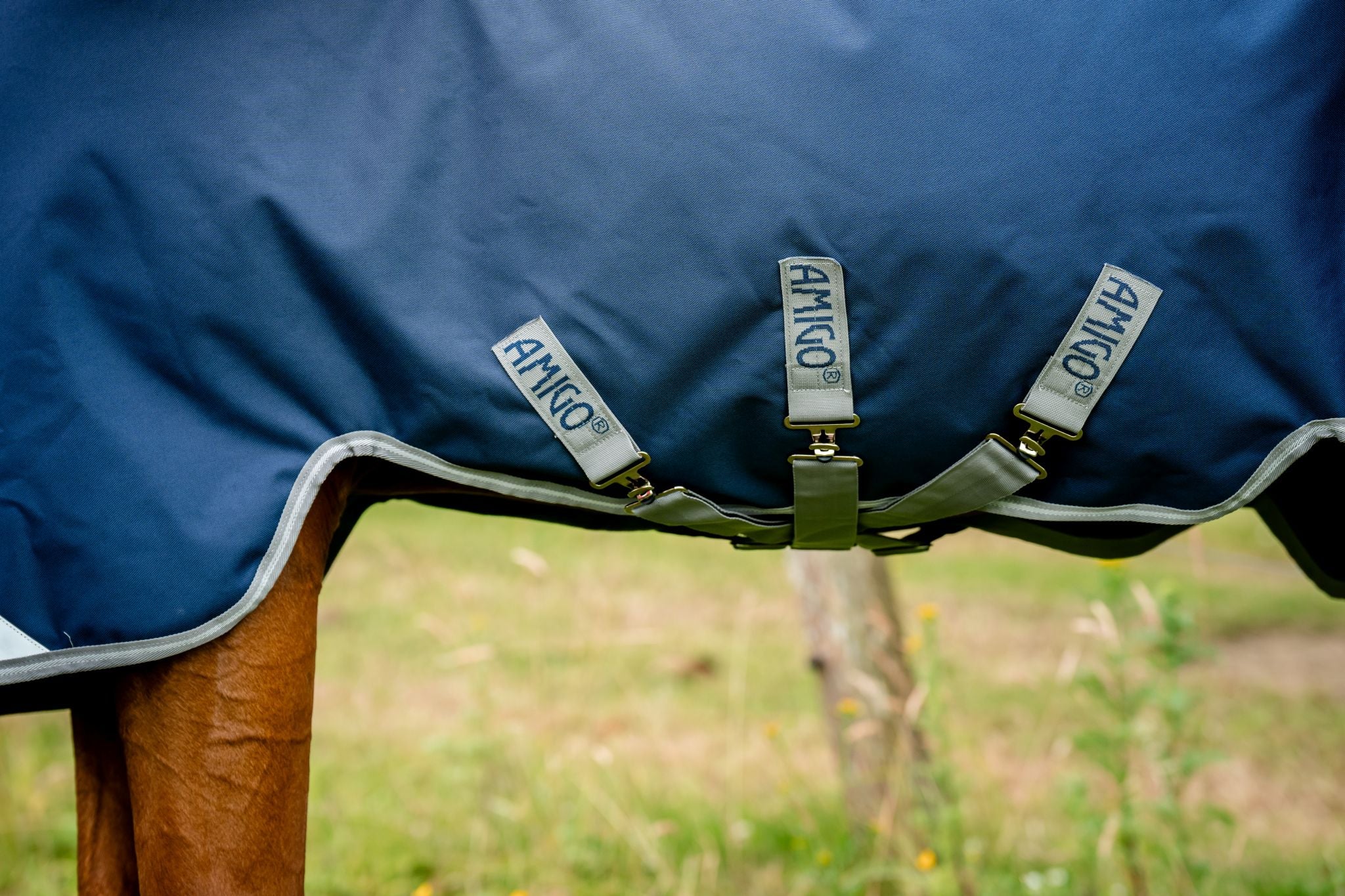 Horseware Amigo 1200D V-Front Rug Navy blue