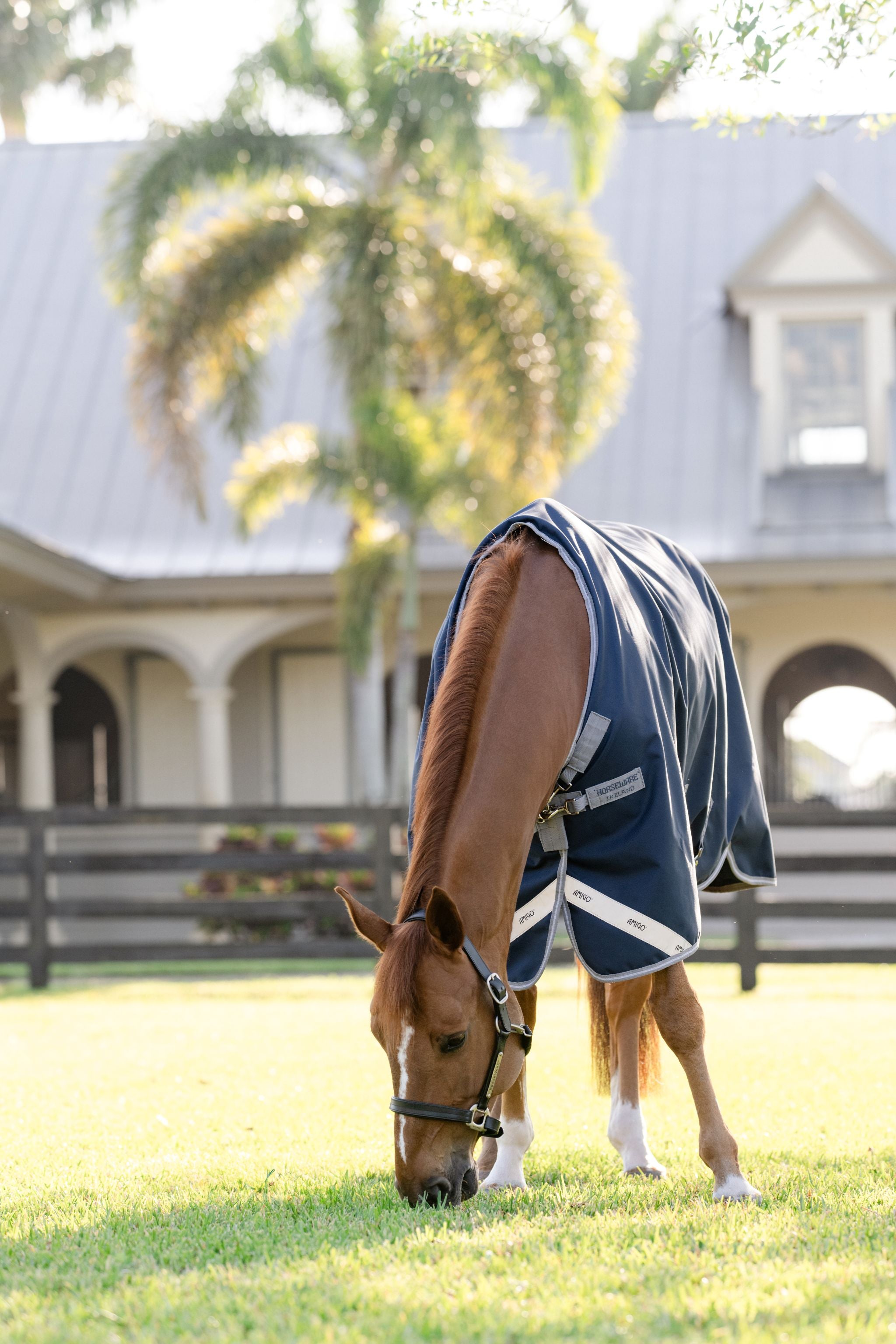 Horseware Amigo 1200D V-Front Rug Navy blue