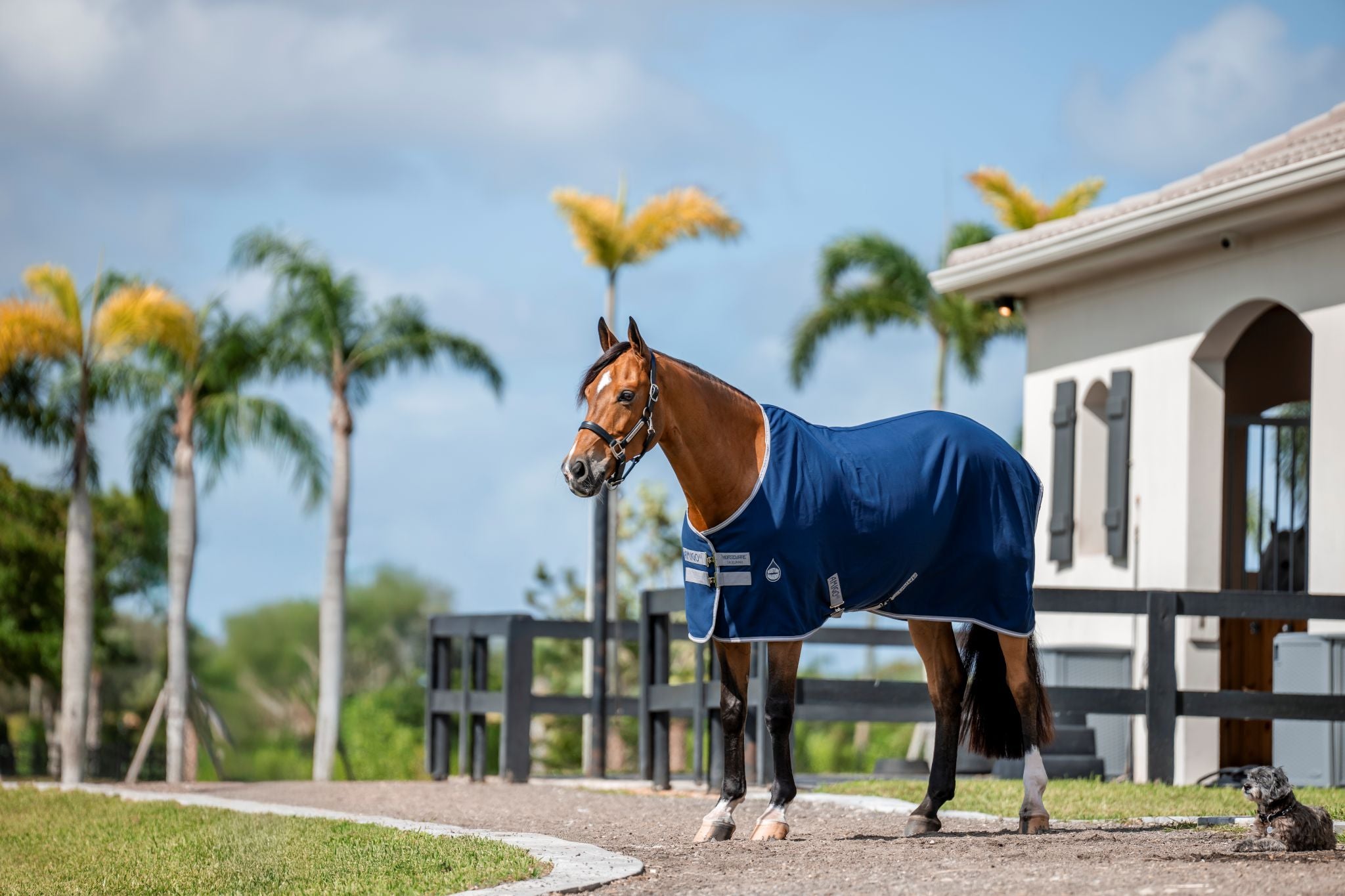 Horseware Amigo stable sheet Navy blue/grey