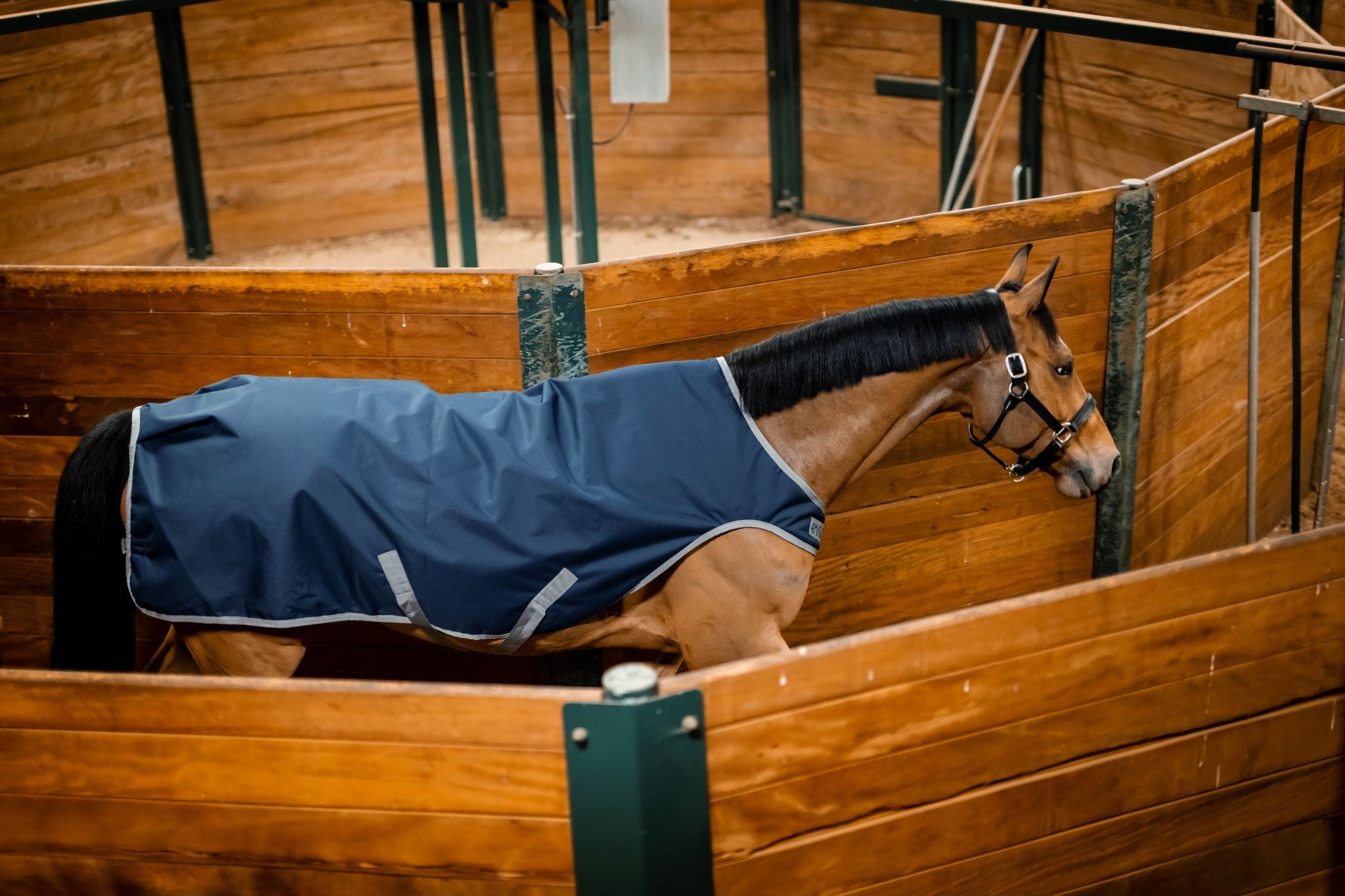 Horseware Amigo Ripstop walker rug Navy blue
