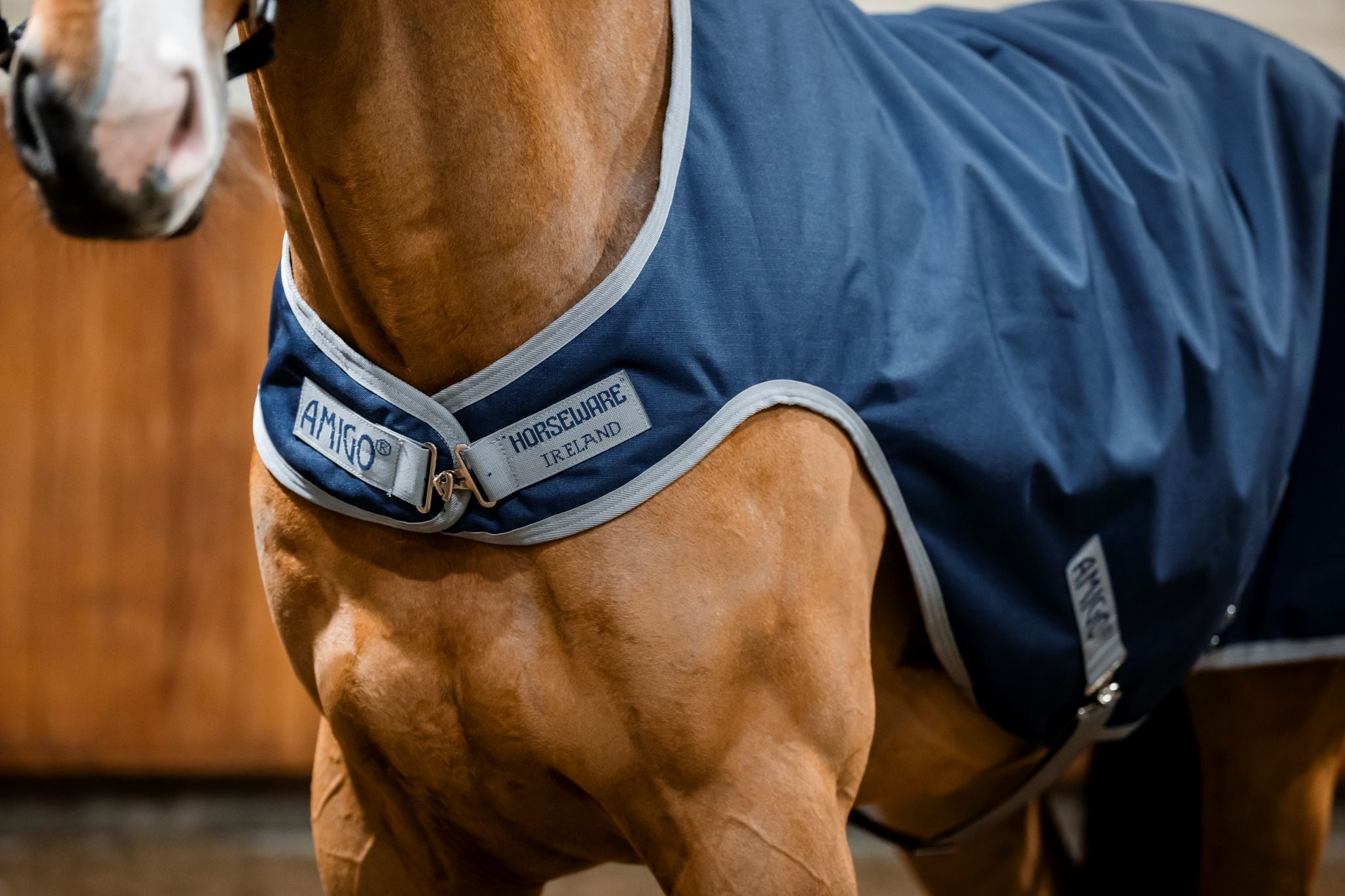 Horseware Amigo Ripstop walker rug Navy blue