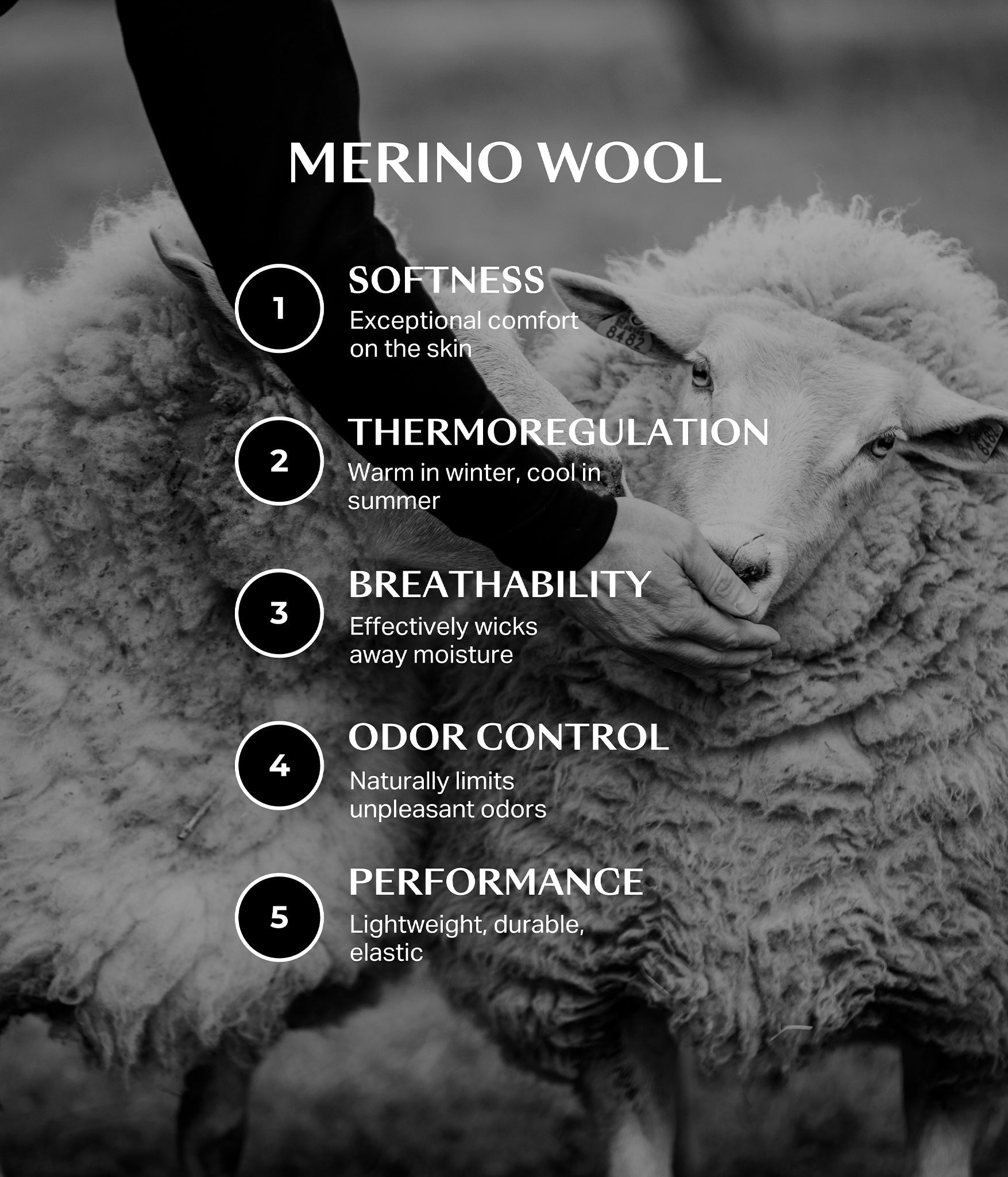 HORSE PILOT Merinos Polo Men - Dark Night