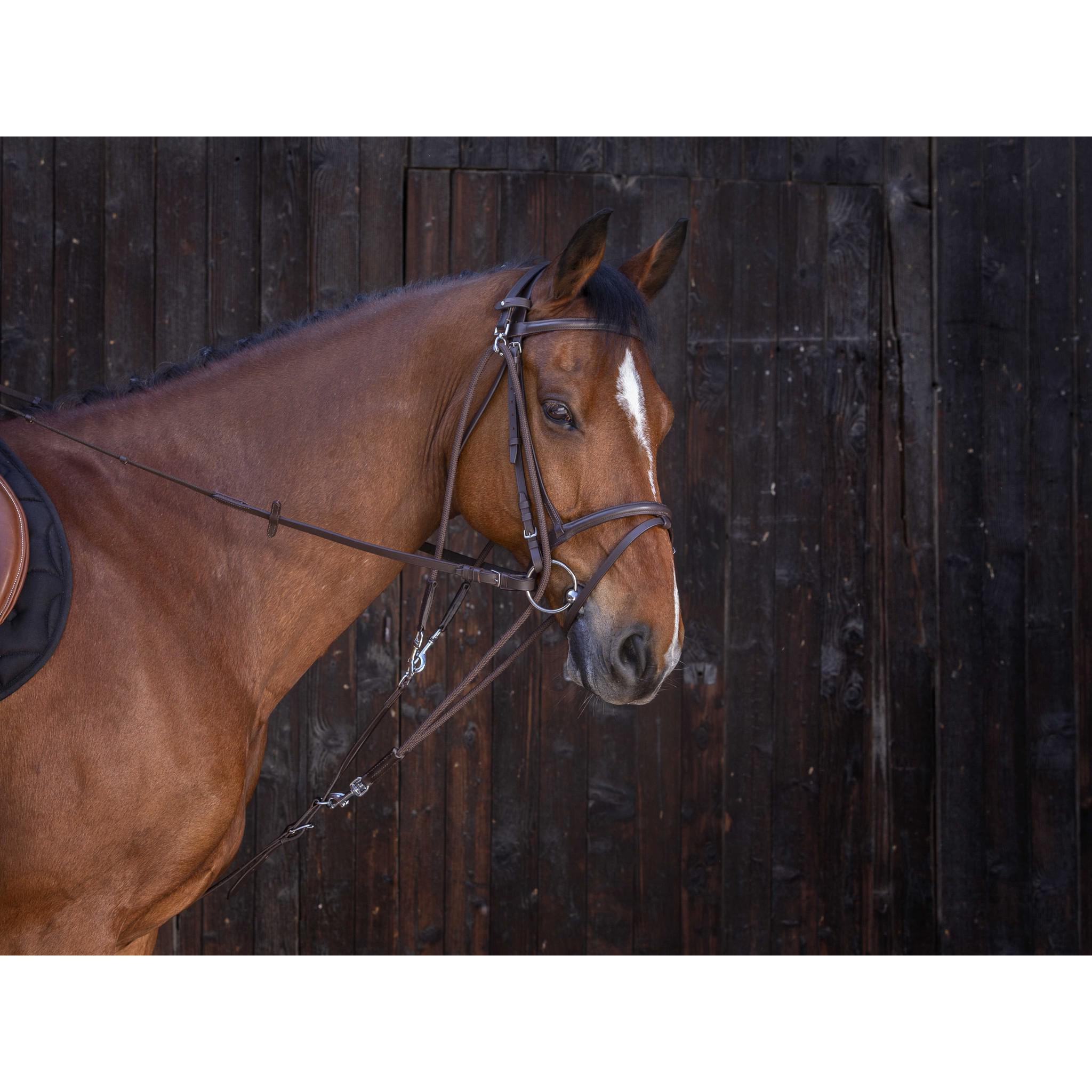 Riding World Gogue with pulleys Havana 306396318