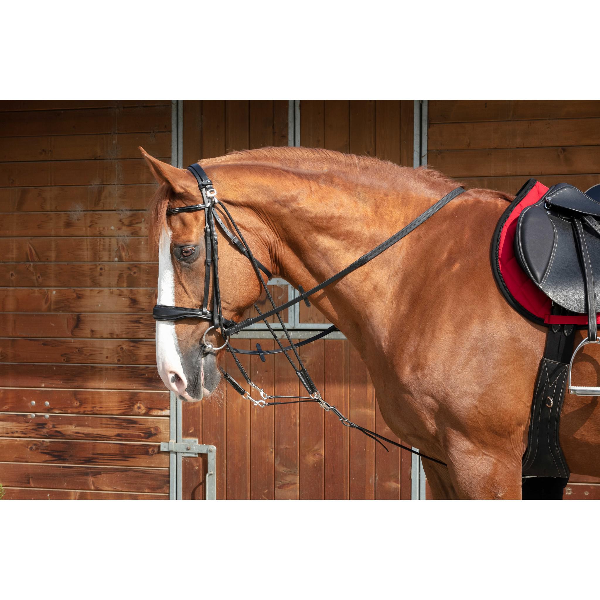 Norton Pro Gogue with pulleys Black 306403302