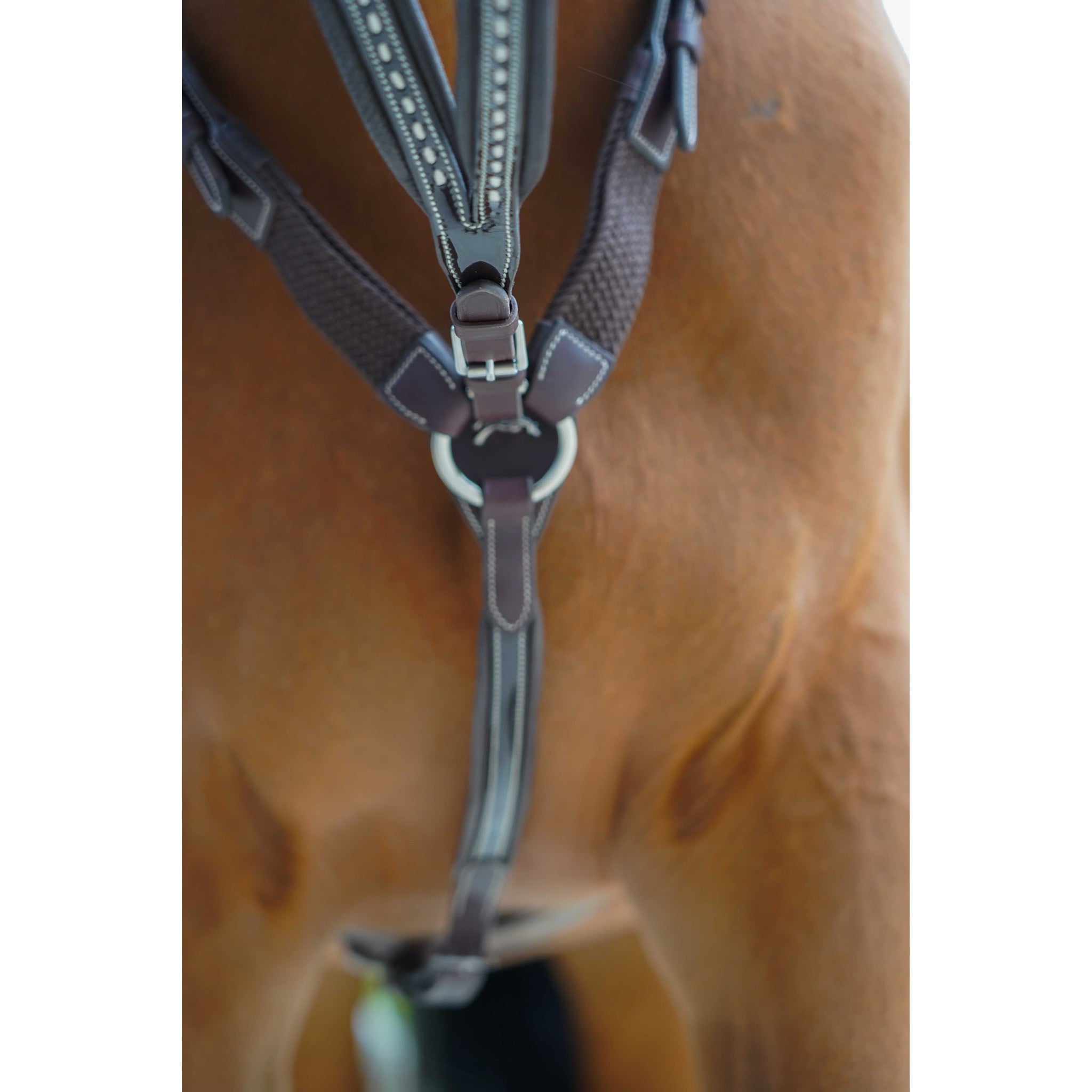 Pénélope Point Sellier Martingale Attachment Havana 306153018